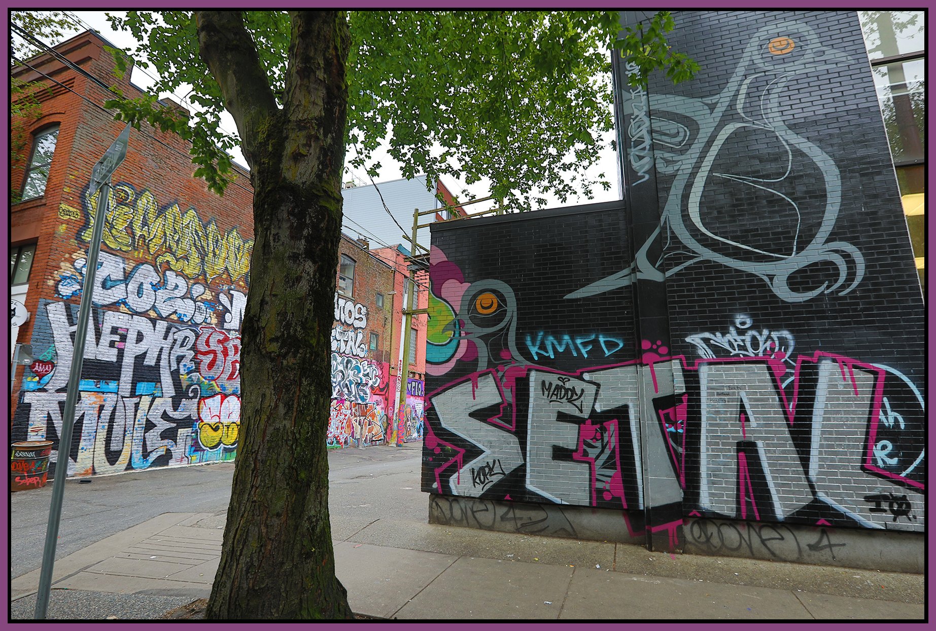 Columbia St Alley Graffiti_May 30_2020_HDR_4F2749_4x6s.jpg