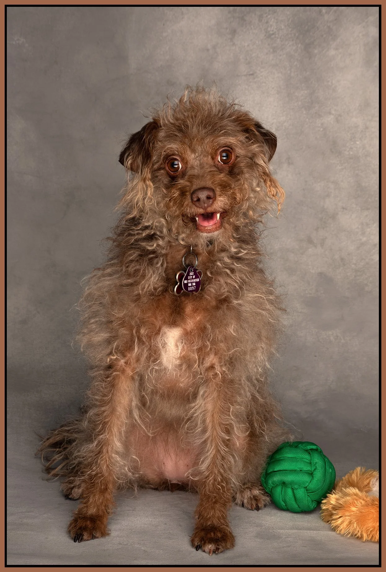 Frances Stewart_Mar 16_2022_CR2_5B0529_peFullEdit_Hyprstrp_4x6s.jpg