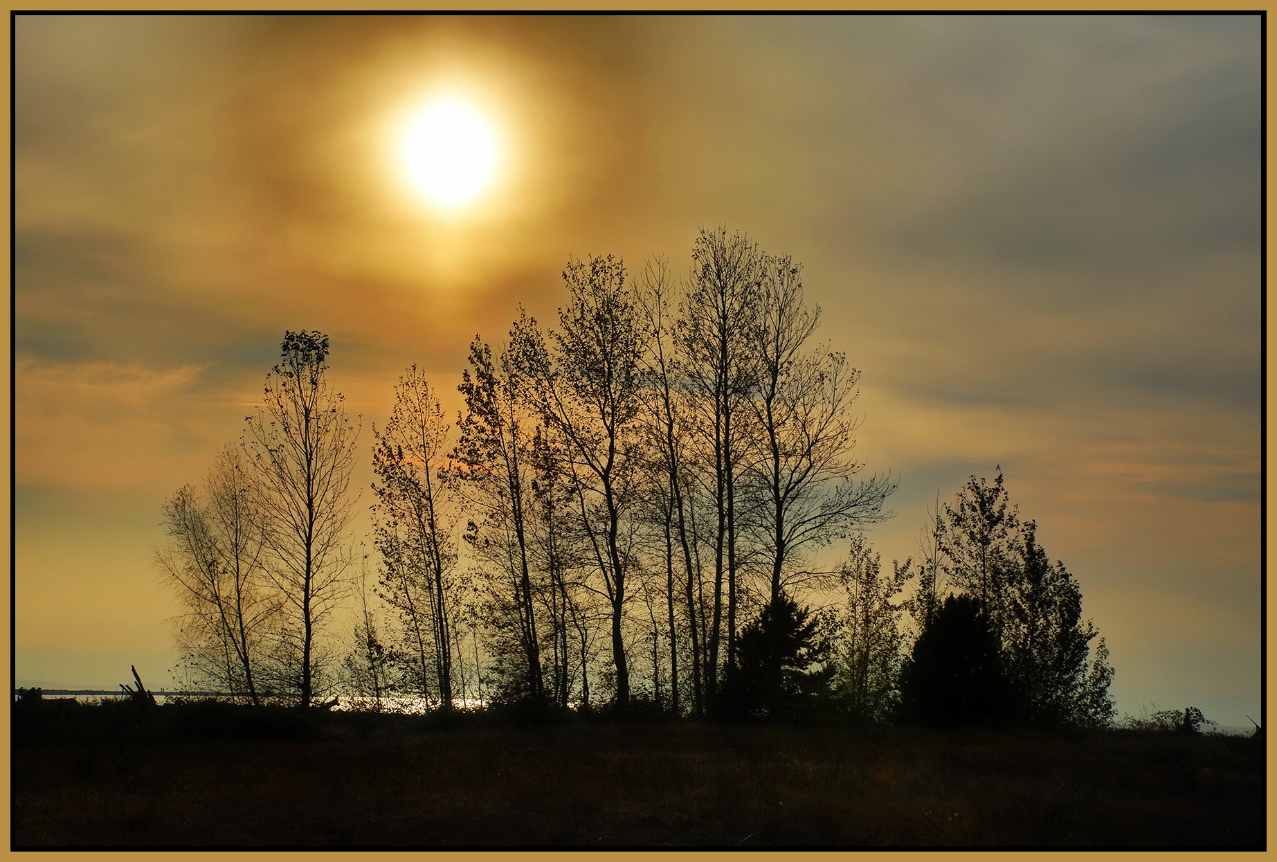 Iona Pk Trees_Oct 6_2022_HDR_4H3036_peSat&Glo_4x6s.jpg