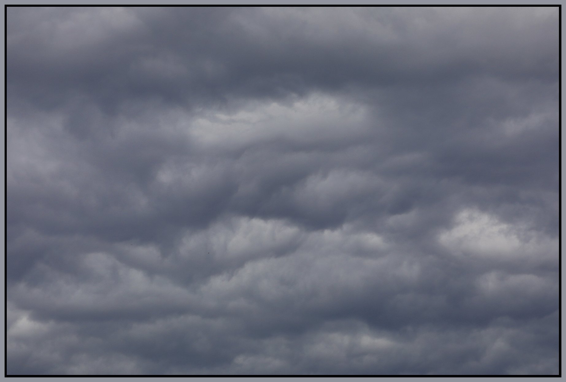 Clouds_May 6_2021_HDR_5A2684_4x6s.jpg