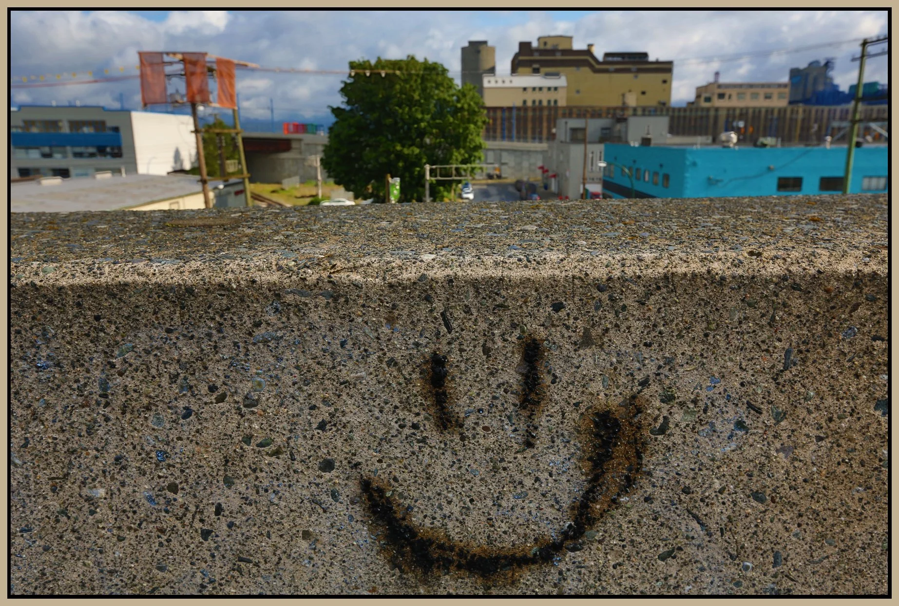 Strathcona Village Happy Face_May 27_2016_HDR_K5433_4x6s.jpg