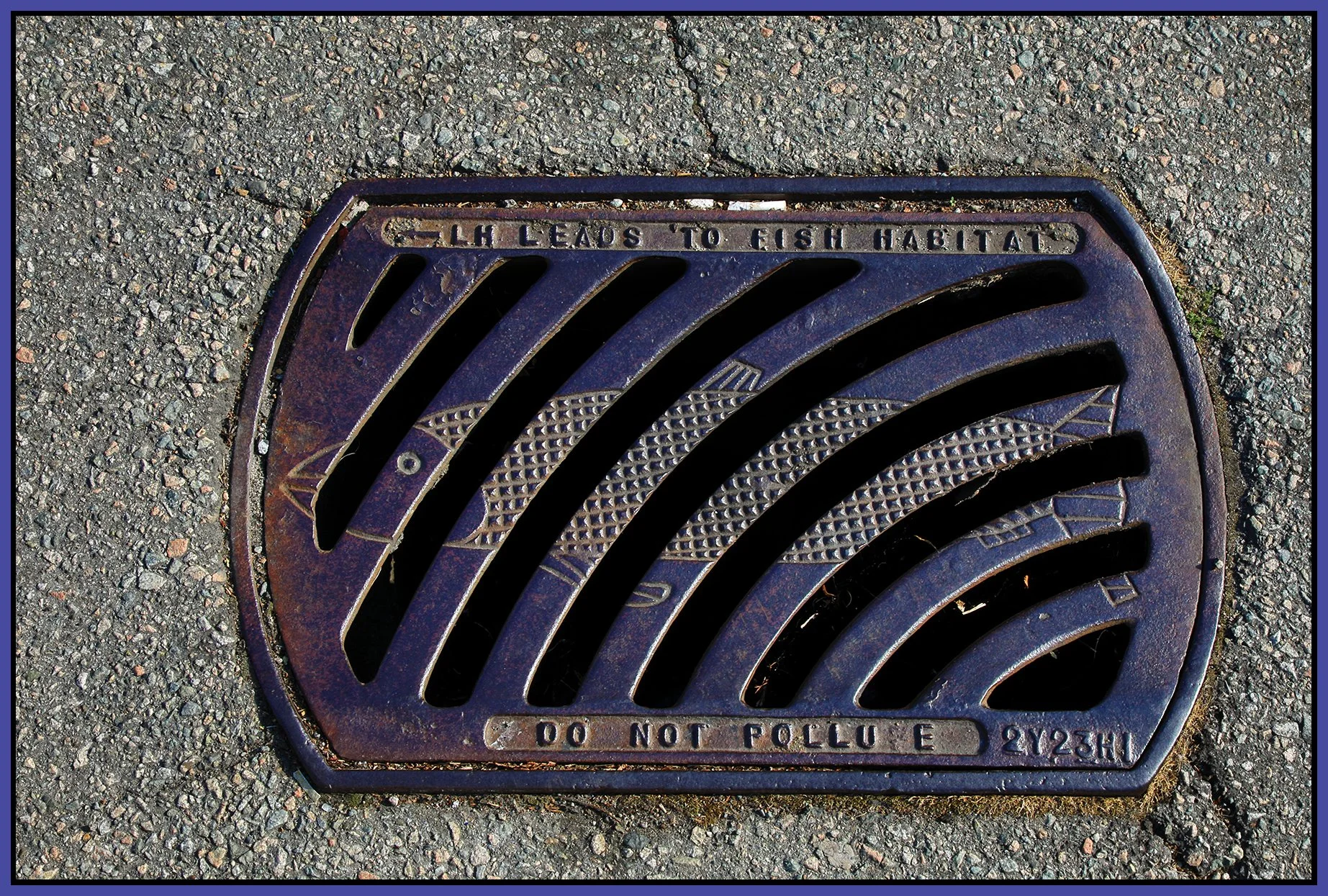 New West Sewer Grate_Sep 29_2022_HDR_4H2633_4x6s.jpg