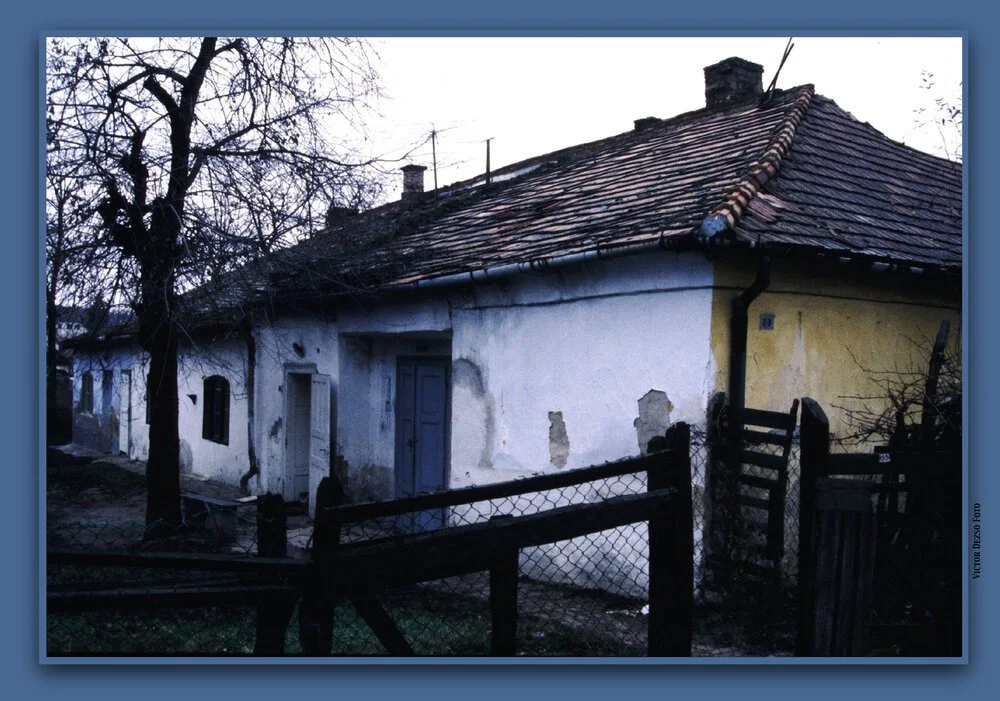 Hungarian+Peasant+Houses_4x6s.jpg