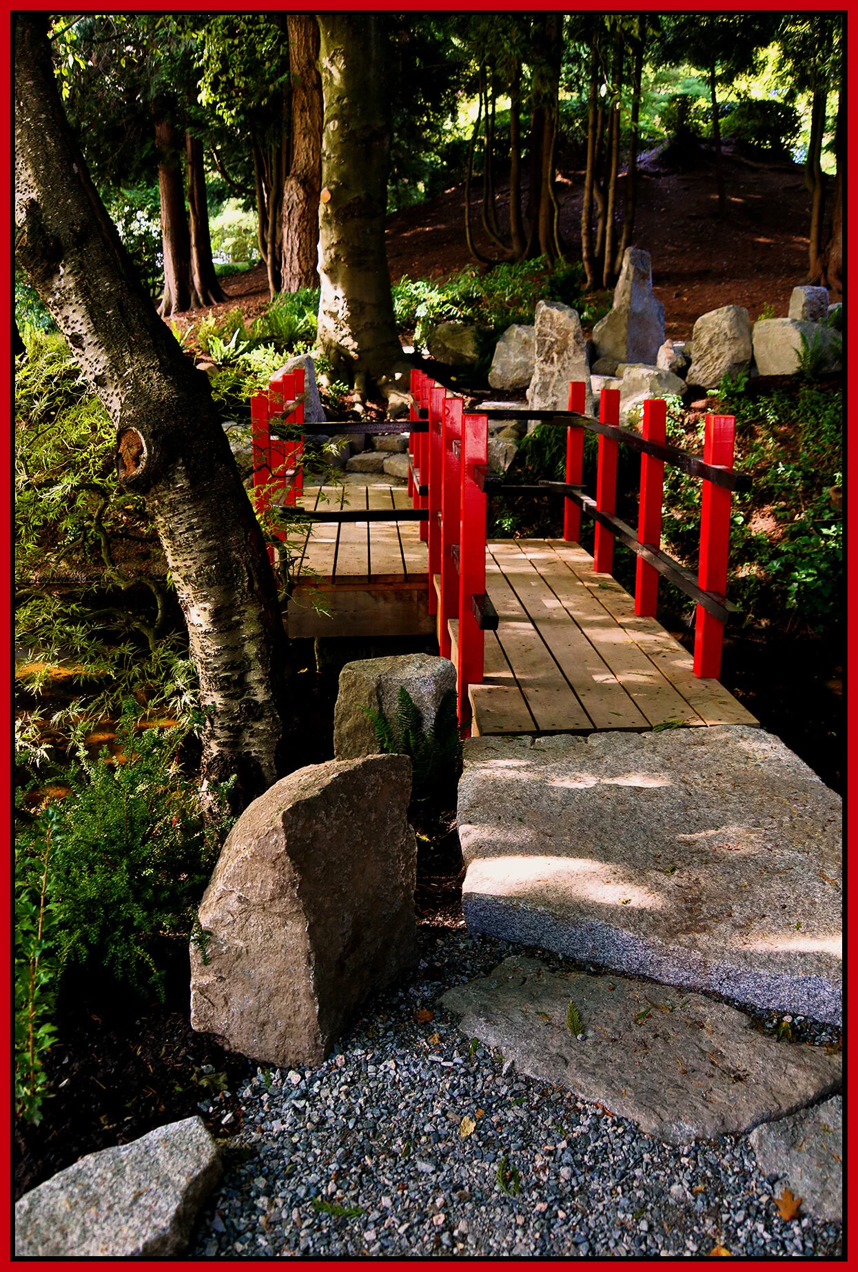 Bridge in Tipperary Pk in New West_Sep 16_2021_HDR_4G3265_peNatB II_SGC_4x6s.jpg