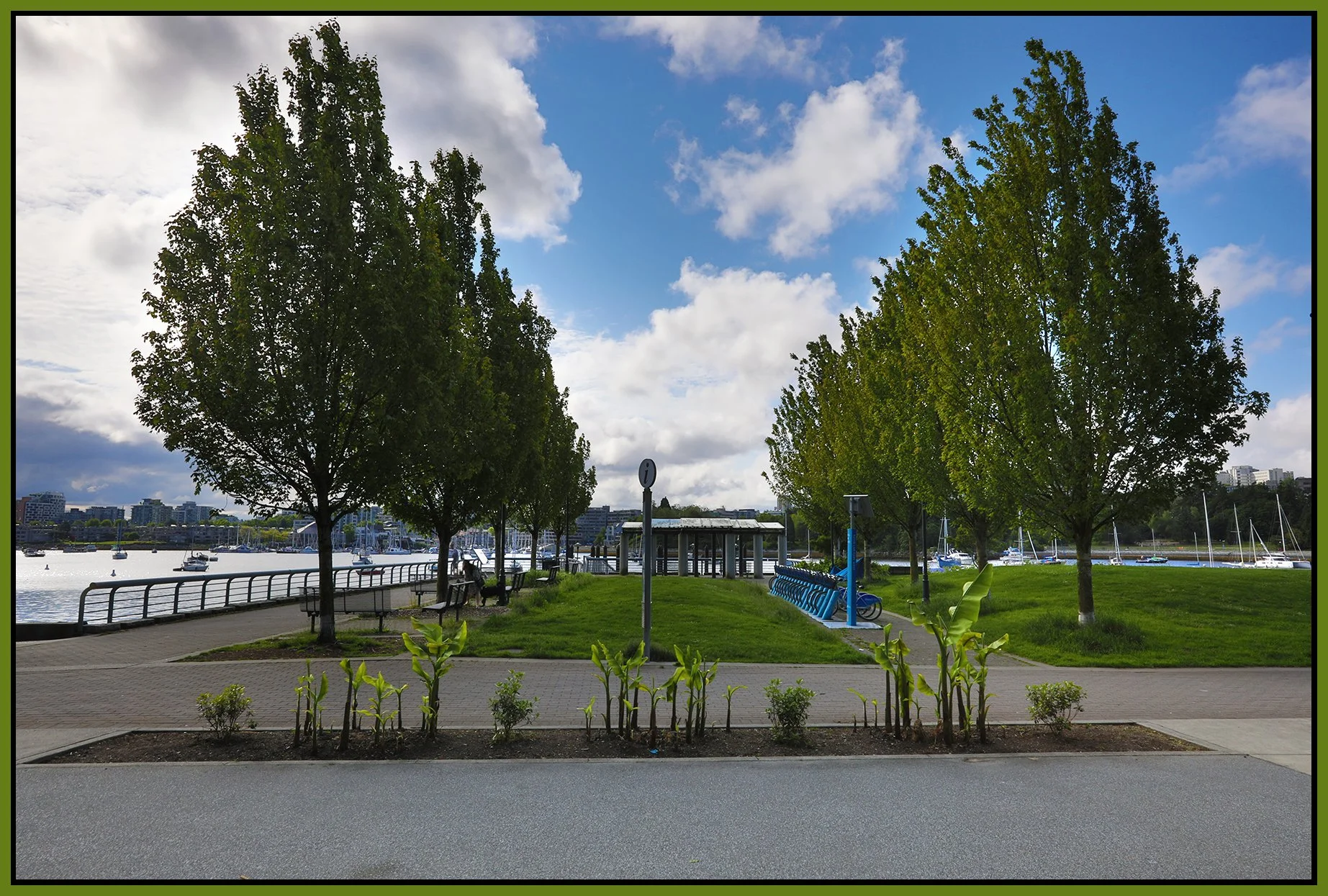 Concord Pacific Plants_Jun 14_2022_HDR_5B7281_4x6s.jpg