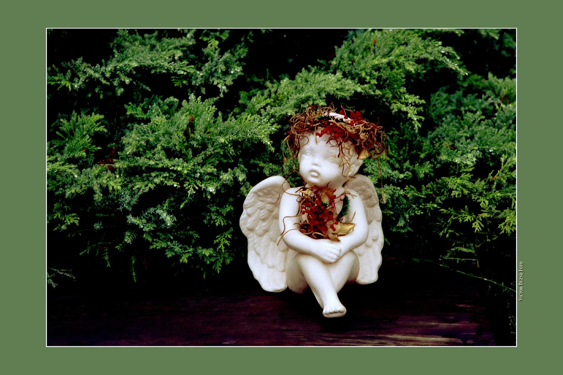 Little Angel_4x6s.jpg