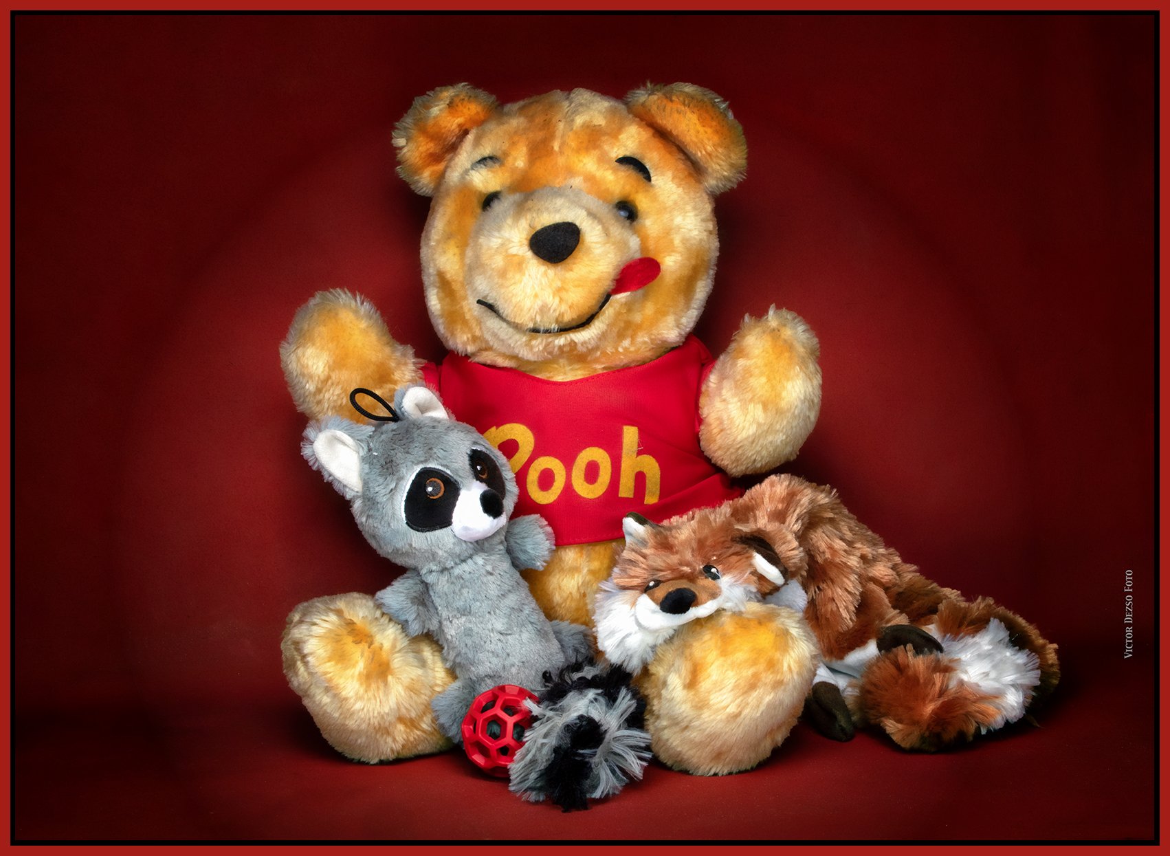 Pooh and Friends_Aug 27_2023_CR2_5C5131_peDecRad Vig_Tiffany_4x6s.jpg
