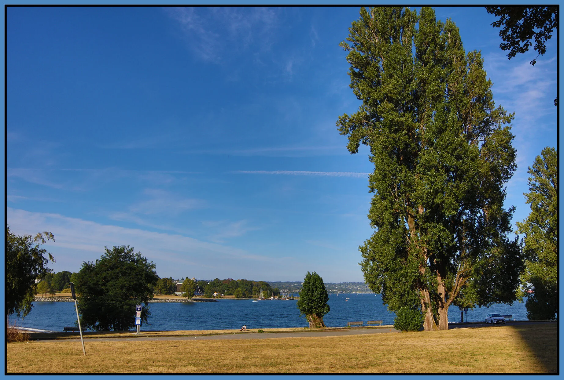 English Bay Trees_Aug 12_2021_HDR_4G2617_4x6s.jpg