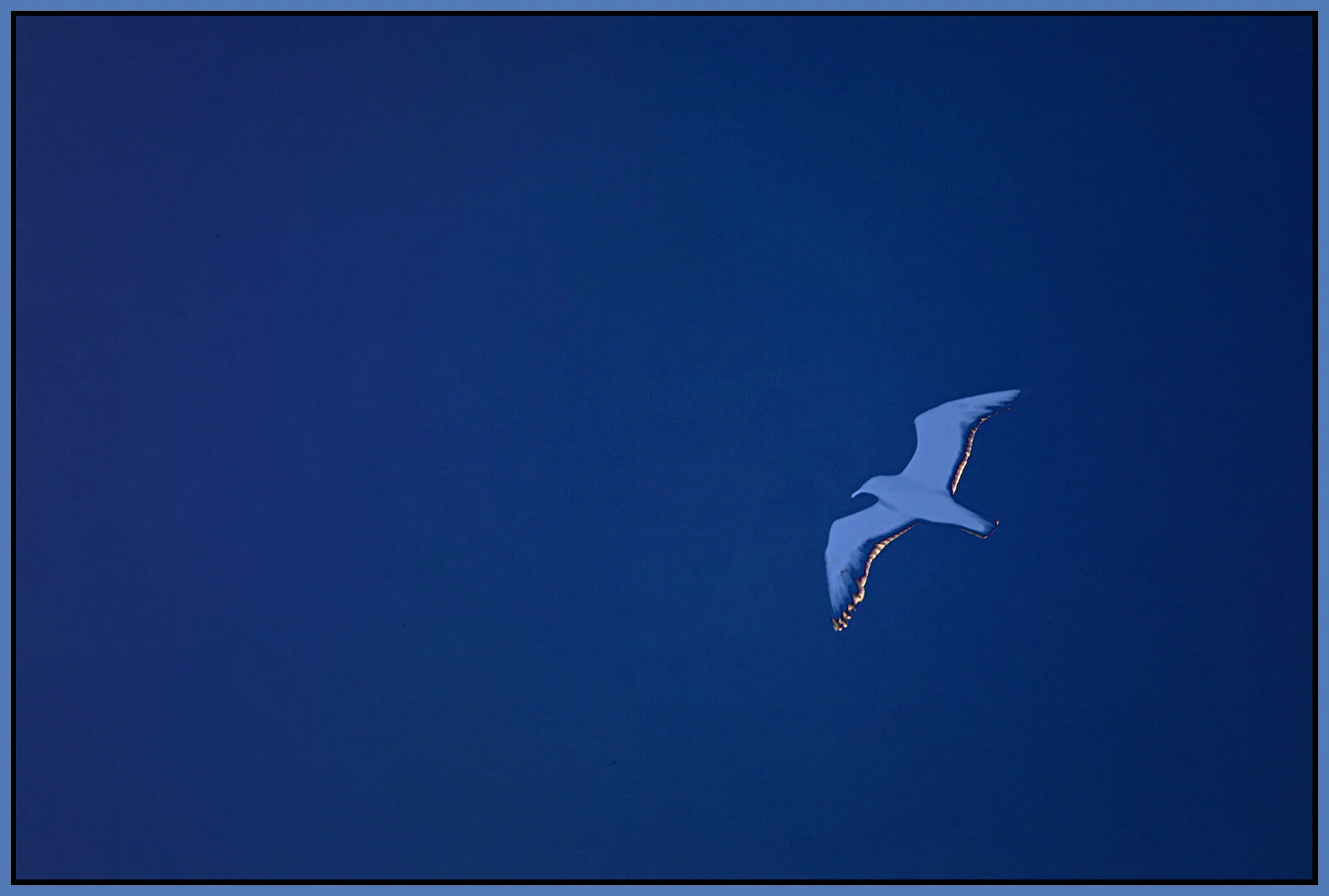 Seagull Ghost_Jul 13_2021_HDR_5A3203_peDrkndExp_4x6s.jpg