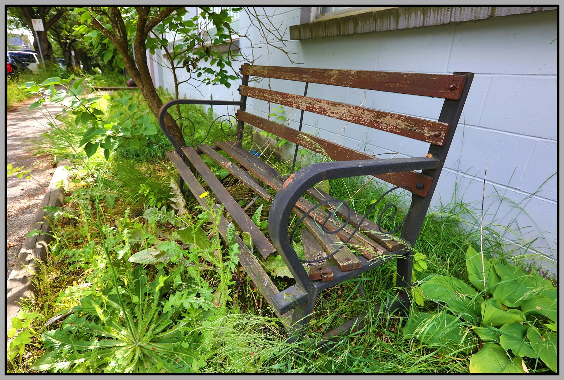 Bench on Adanac_Jun 10_2018_HDR_C6024_4x6s.jpg