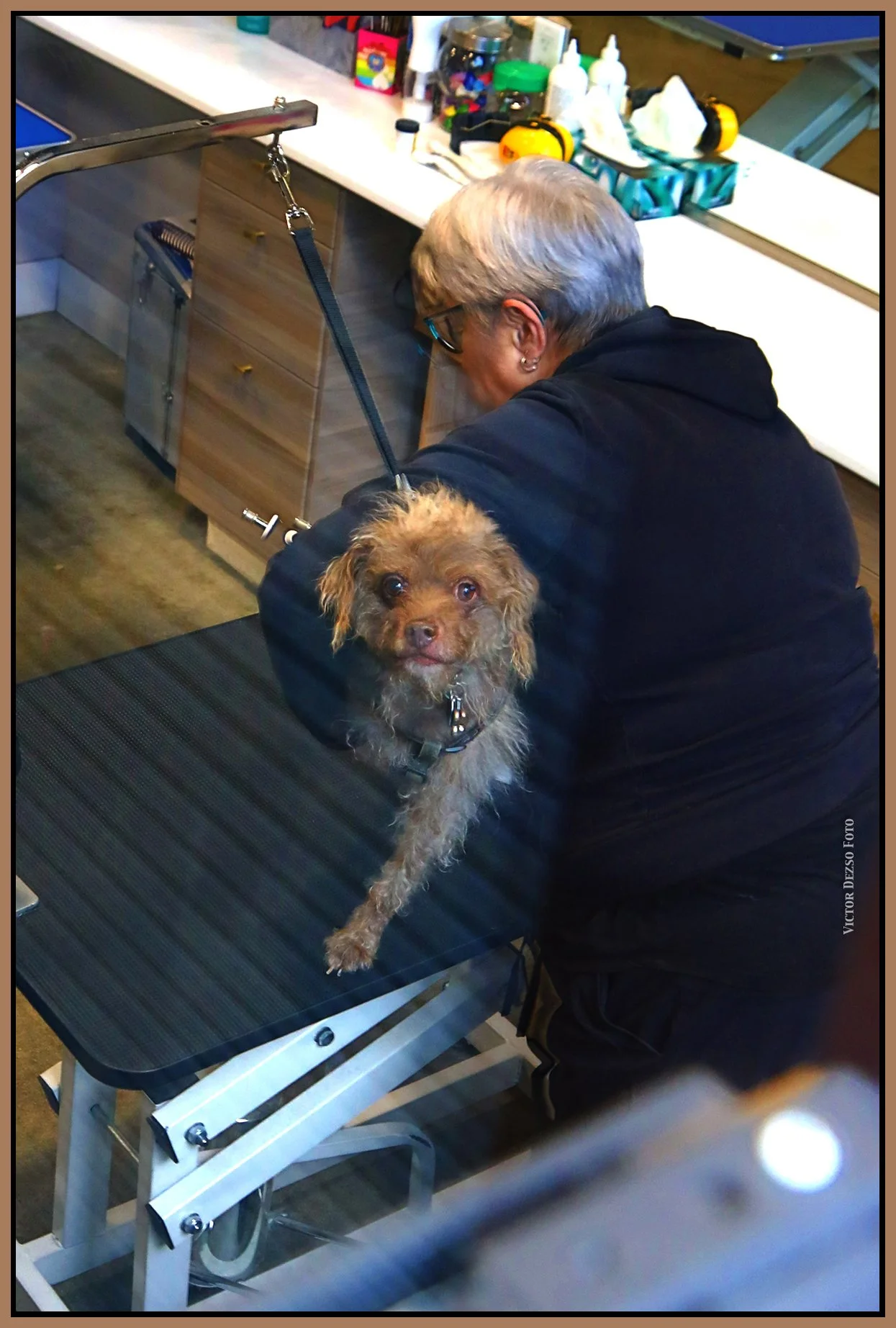 Frances & Adrian_Nov 2_2023_HDR_4H8993_1_4x6ss.jpg