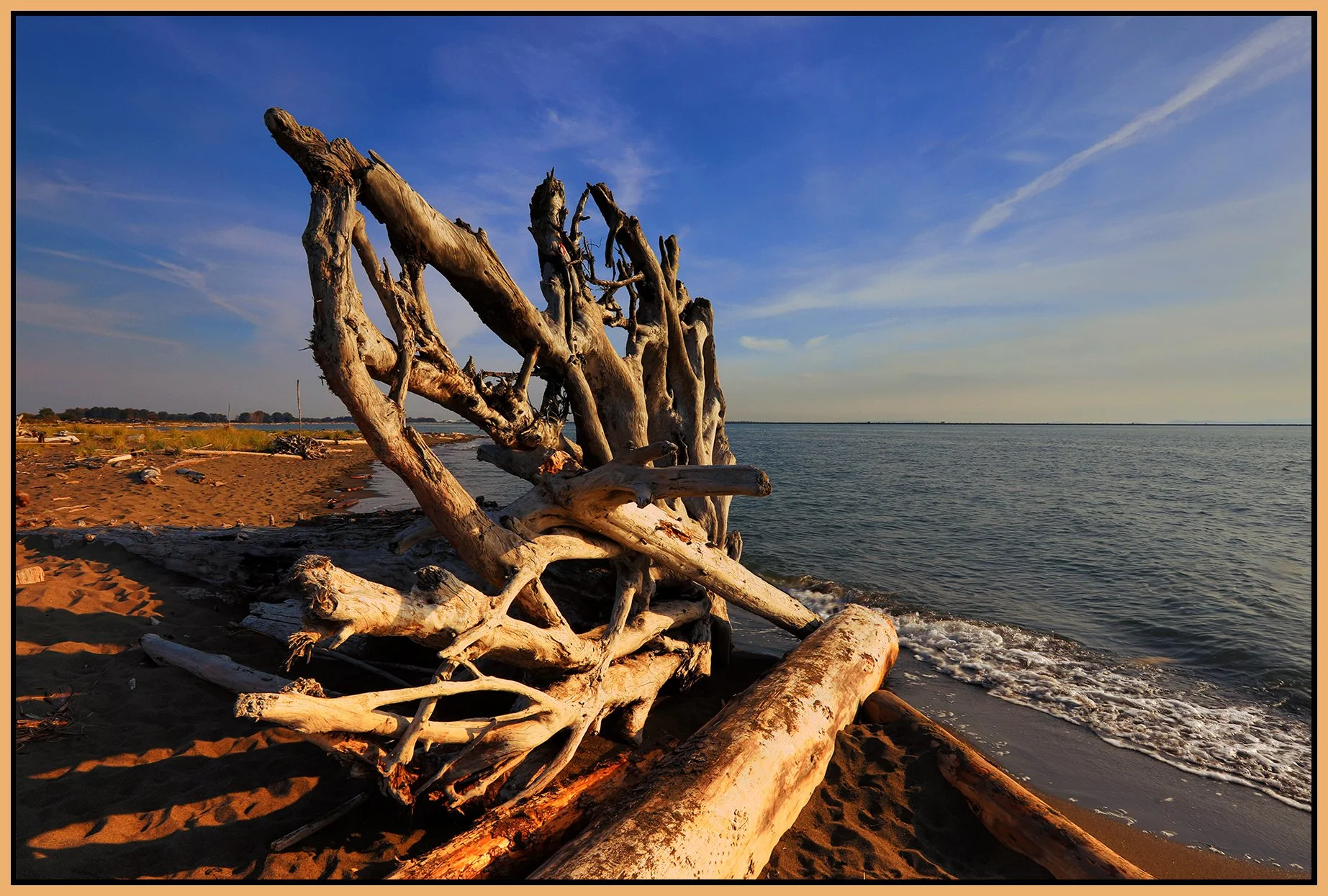 Iona Park Driftwood Lkg SE_Oct 6_2022_HDR_5C0830_peWamishlanscpe_4x6s.jpg