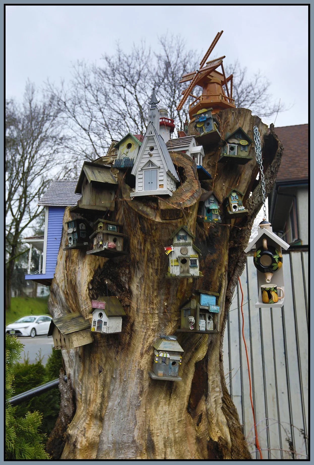 580 Heatley Bird Houses_Jan 8_2025_HDR_5E7405_4x6s.jpg