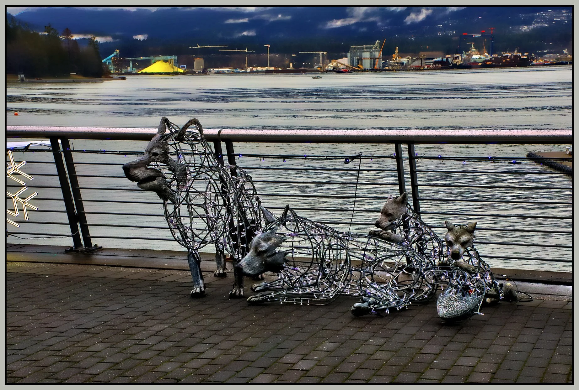 Coal Harbour Art_Dec 5_2023_HDR_5E2024_peHdr2013_1_4x6s.jpg