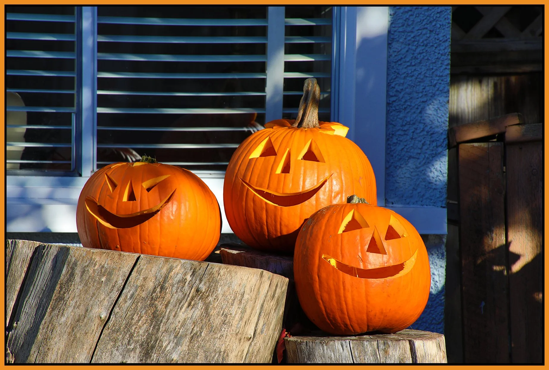 Pumpkins_Oct 31_2021_HDR_4G4578_4x6s.jpg