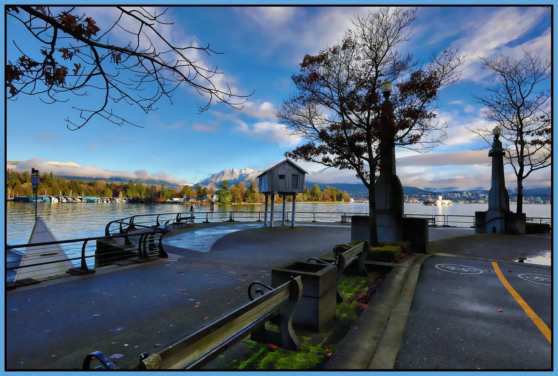 Coal Harbour LkgNW_Jan 6_2024_HDR_5E3196_peShdngCntrst_4x6s.jpg