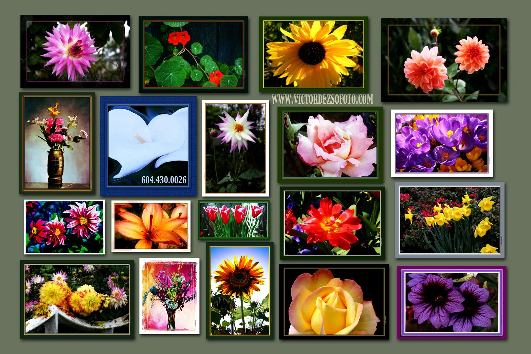 Flowers 2005.Comp.4x6.jpg