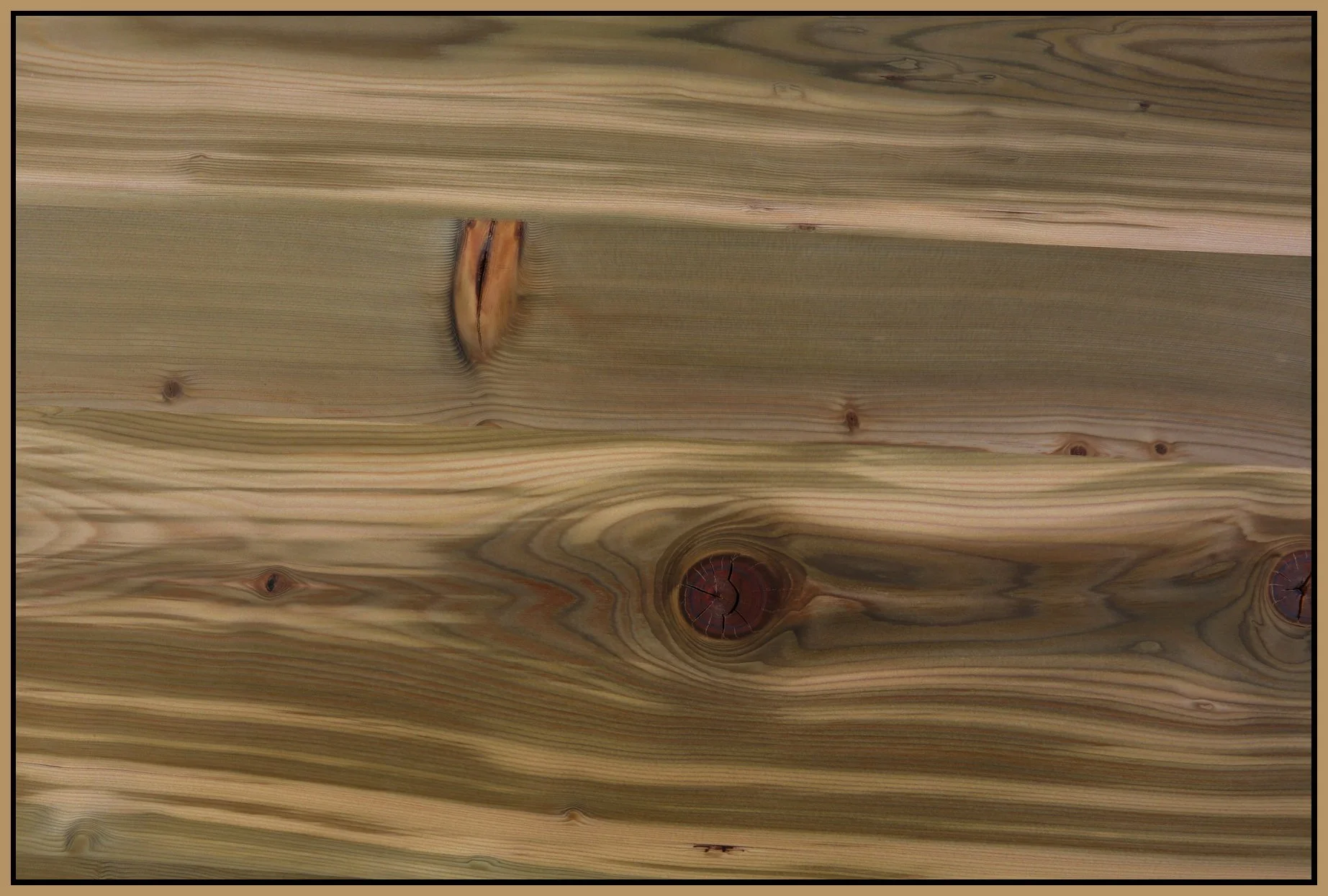 Wood Grain_Aug 23_2015_HDR_4x6s.jpg