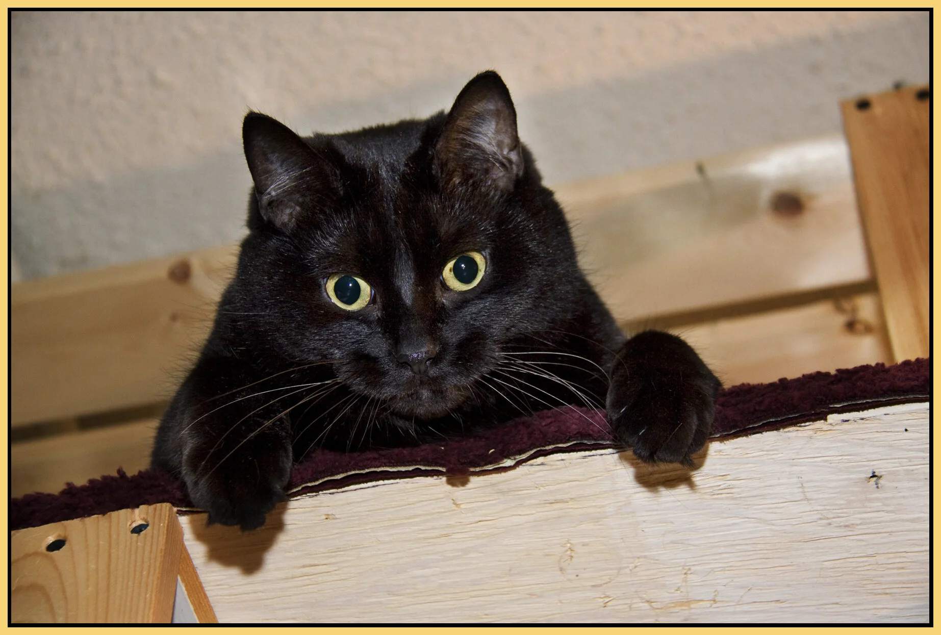 CC_Nov 2 09_6843_4x6s.jpg