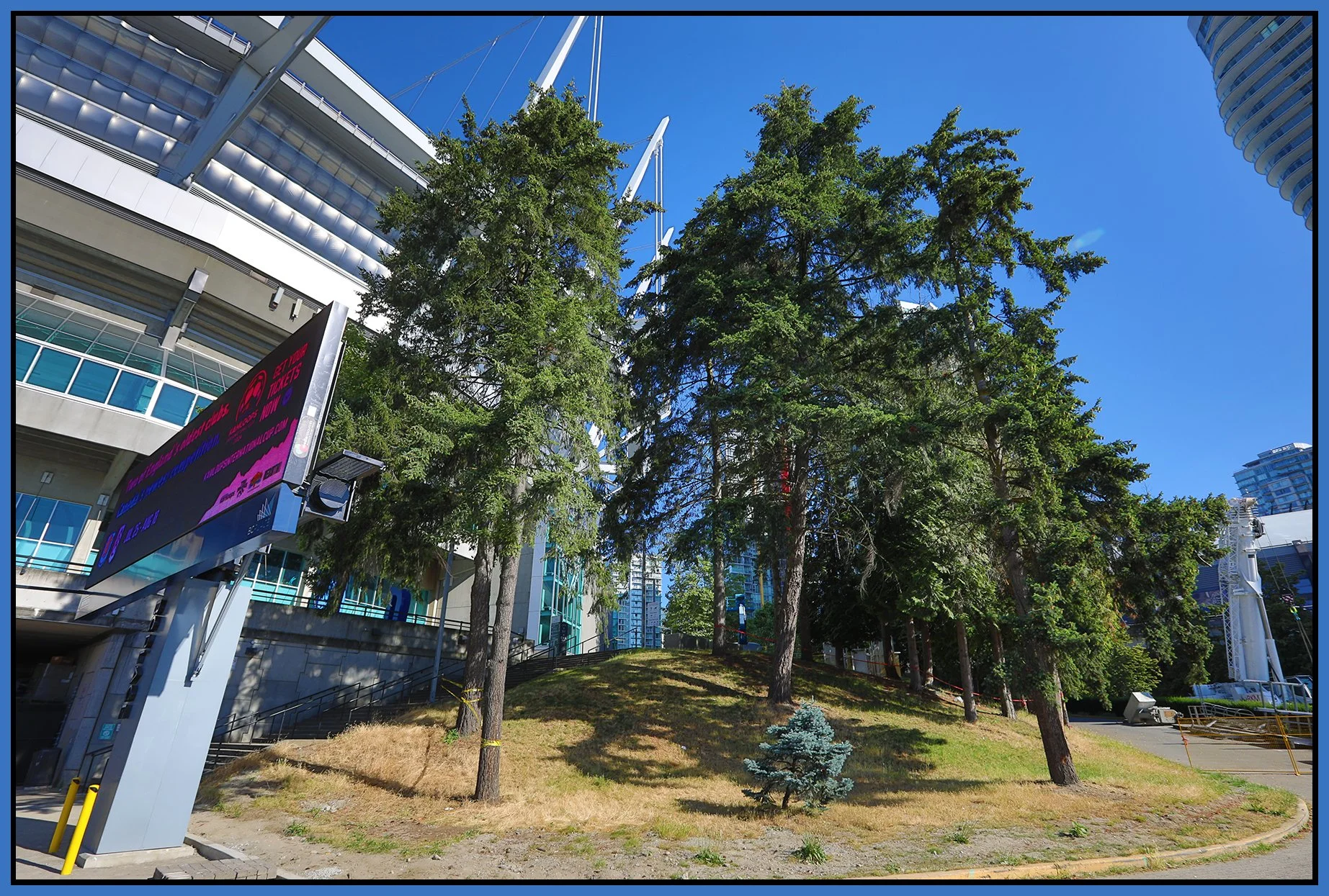 Stadium Trees_Jul 14_2024_HDR_5E7454_4x6s.jpg