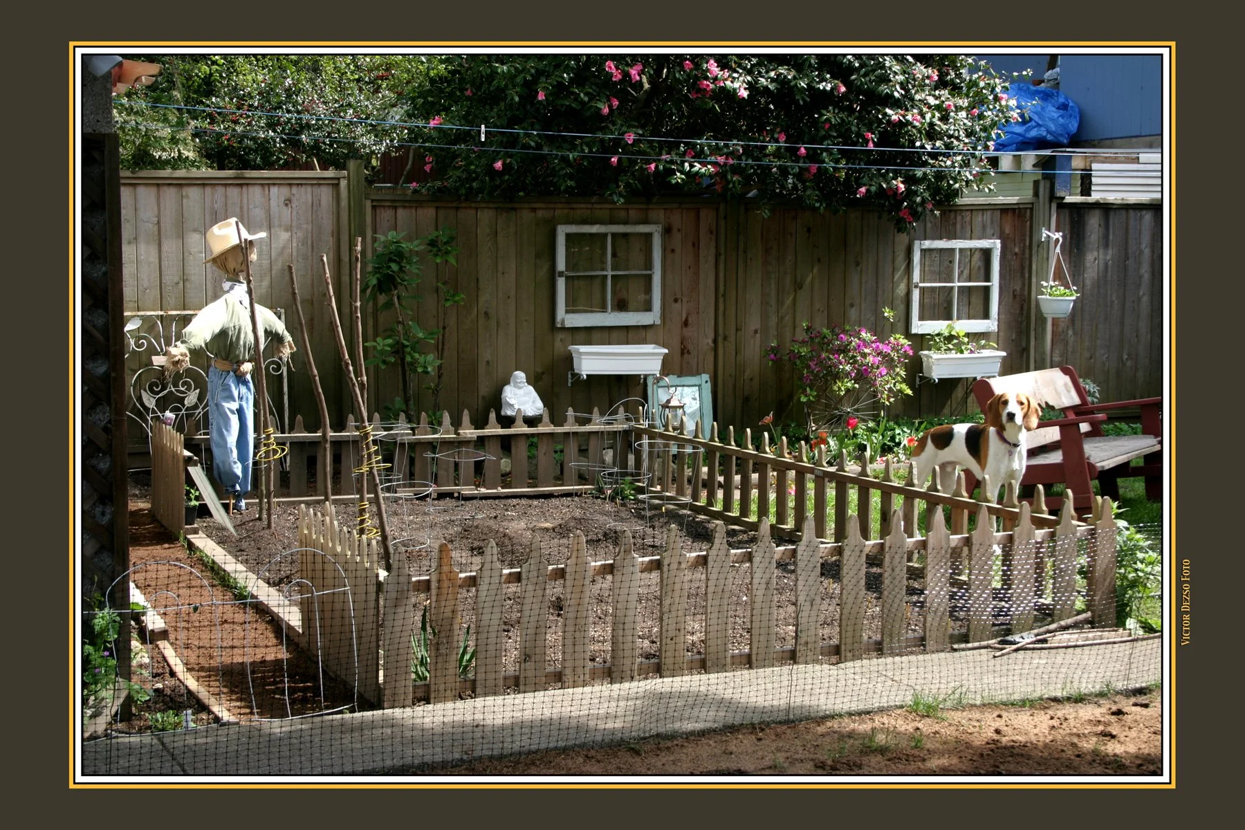 Backyard Budha_8702_4x6.jpg