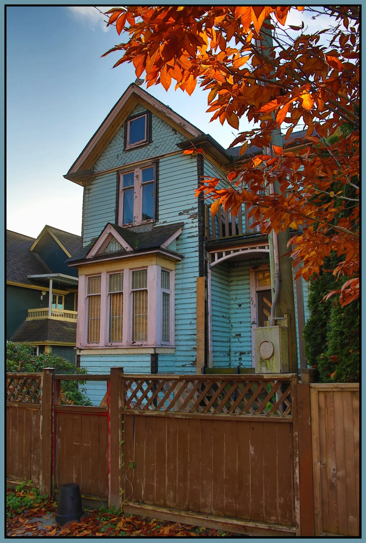 320 Union Ave Tree_Oct 30_2017_HDR_L0063_4x6s.jpg