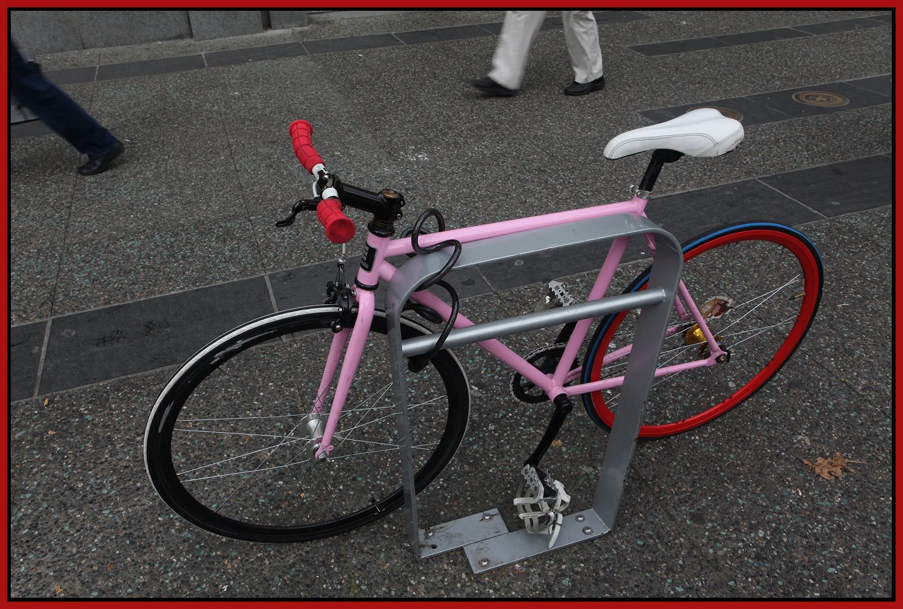 Bicycle_Oct 11_2010_6371_4x6s.jpg