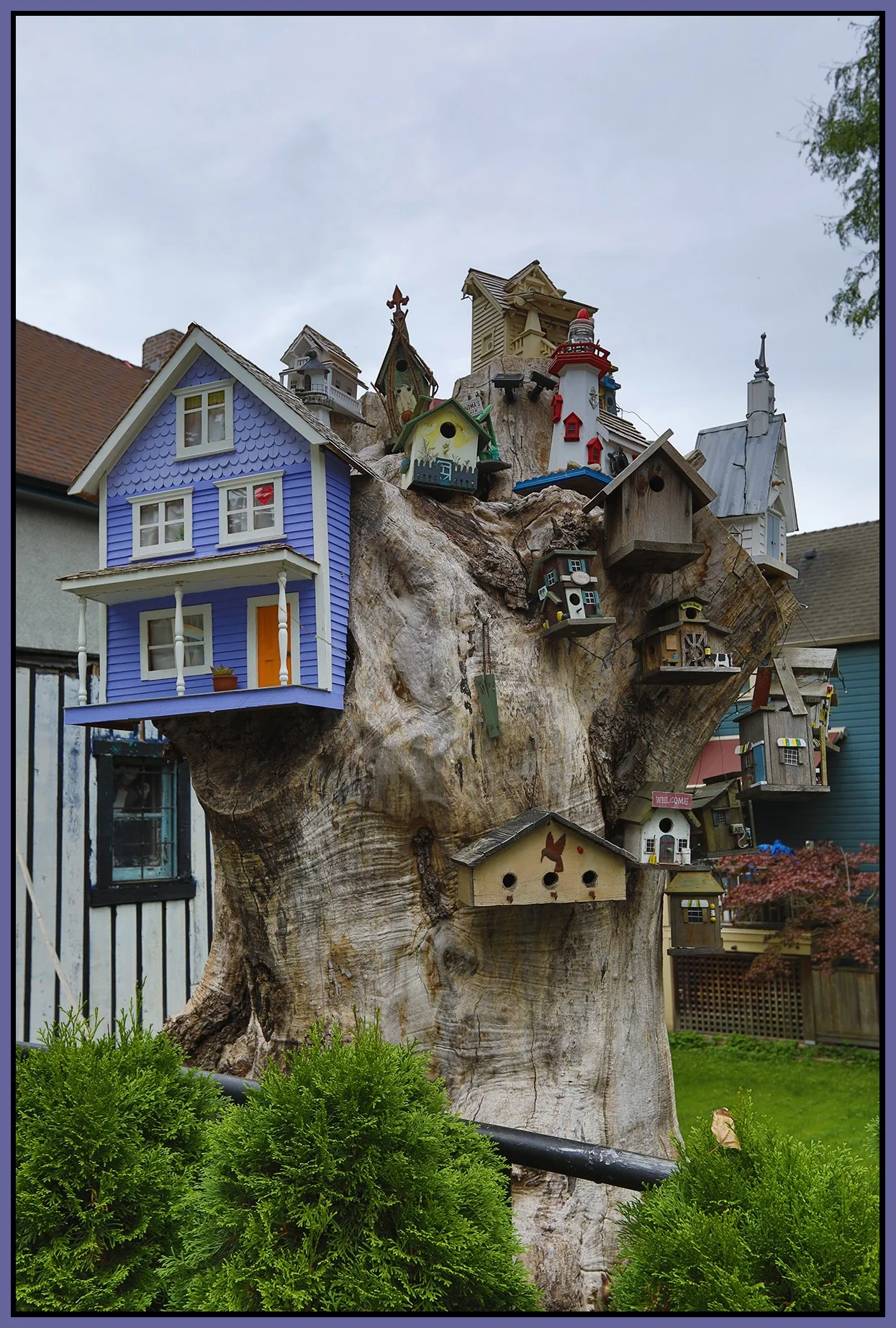 580 Heatley Tree Houses_Sep 22_2024_HDR_5E1266_4x6s.jpg