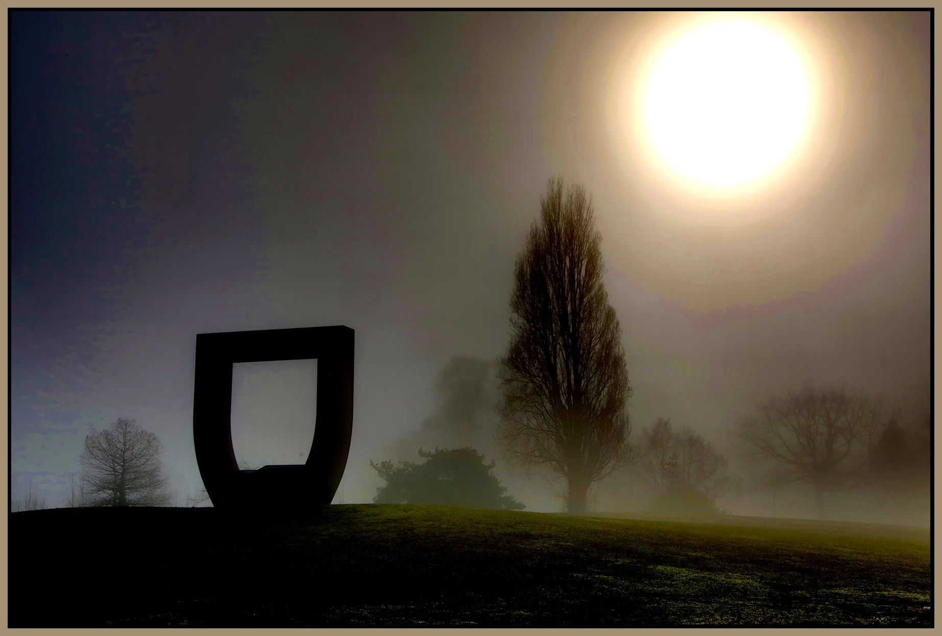 Vanier Park Trees in Fog_Jan 21_2026_HDR_5F5703_peSmplDehaze_4x6s.jpg