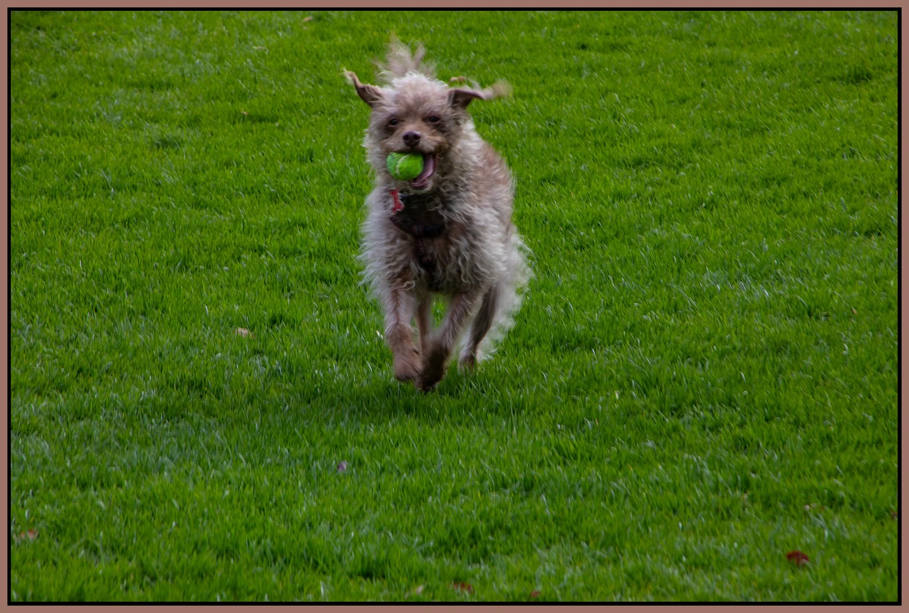 Frances_Apr 20_2025_CR2_5F1983_4x6s.jpg