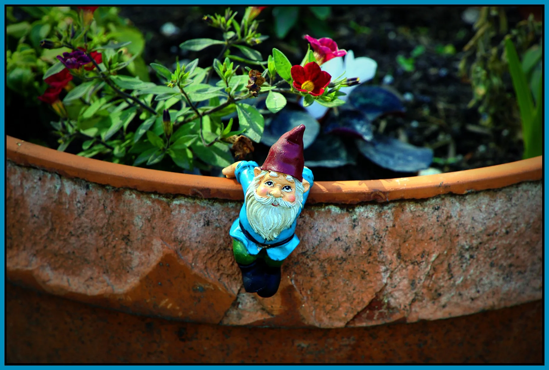 Gnome_May 4_2023_HDR_A8351_peDrkImpct_4x6s.jpg