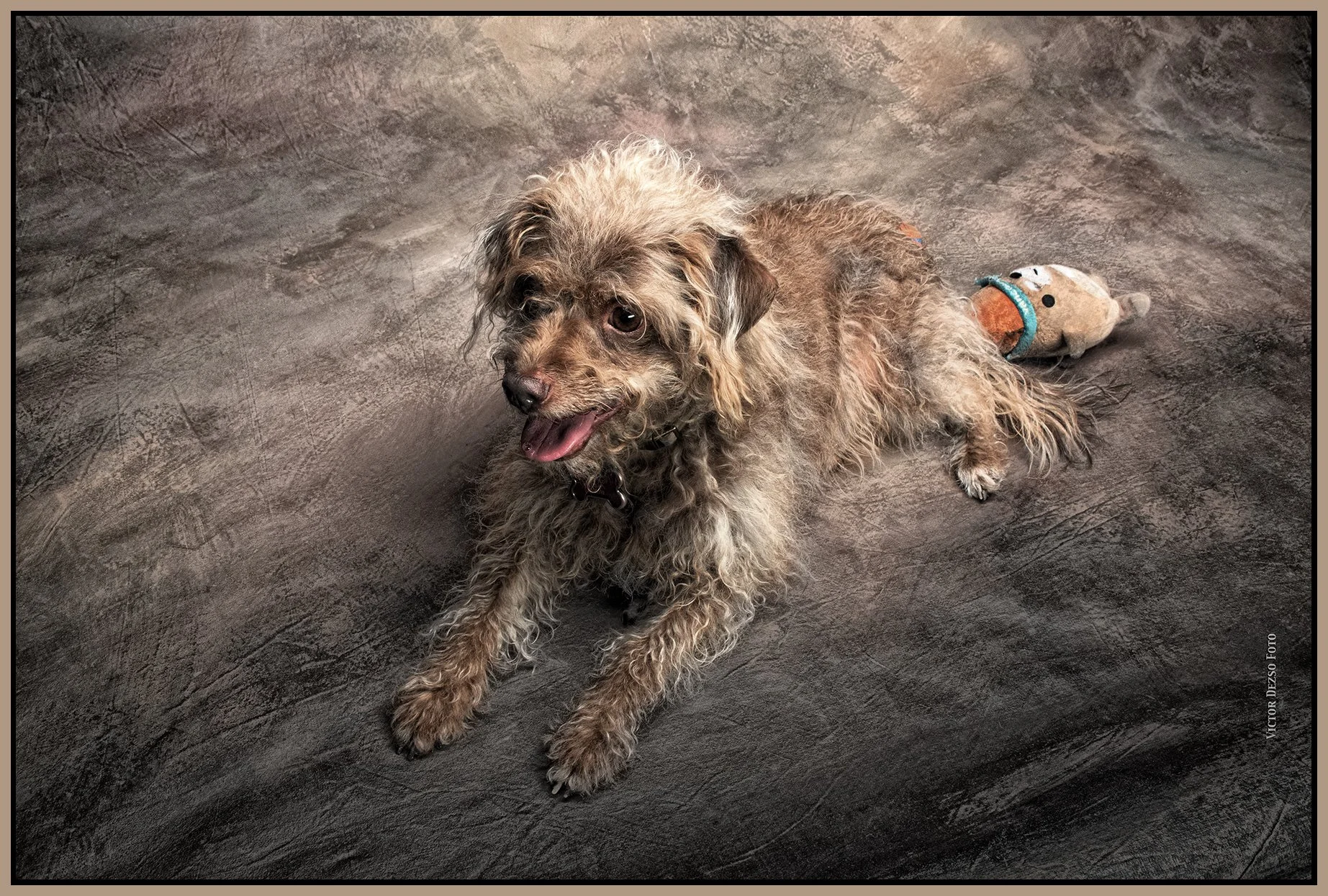 Frances_Jun 11_2023_4H7693_peGlossyCover_LightPencil_Plus_4x6s.jpg