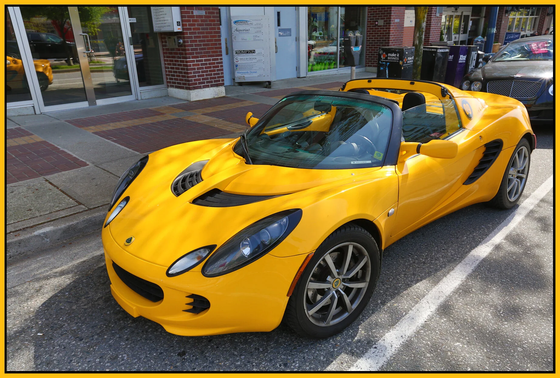 Lotus_Apr 24_2013_HDR_A8463_4x6s.jpg