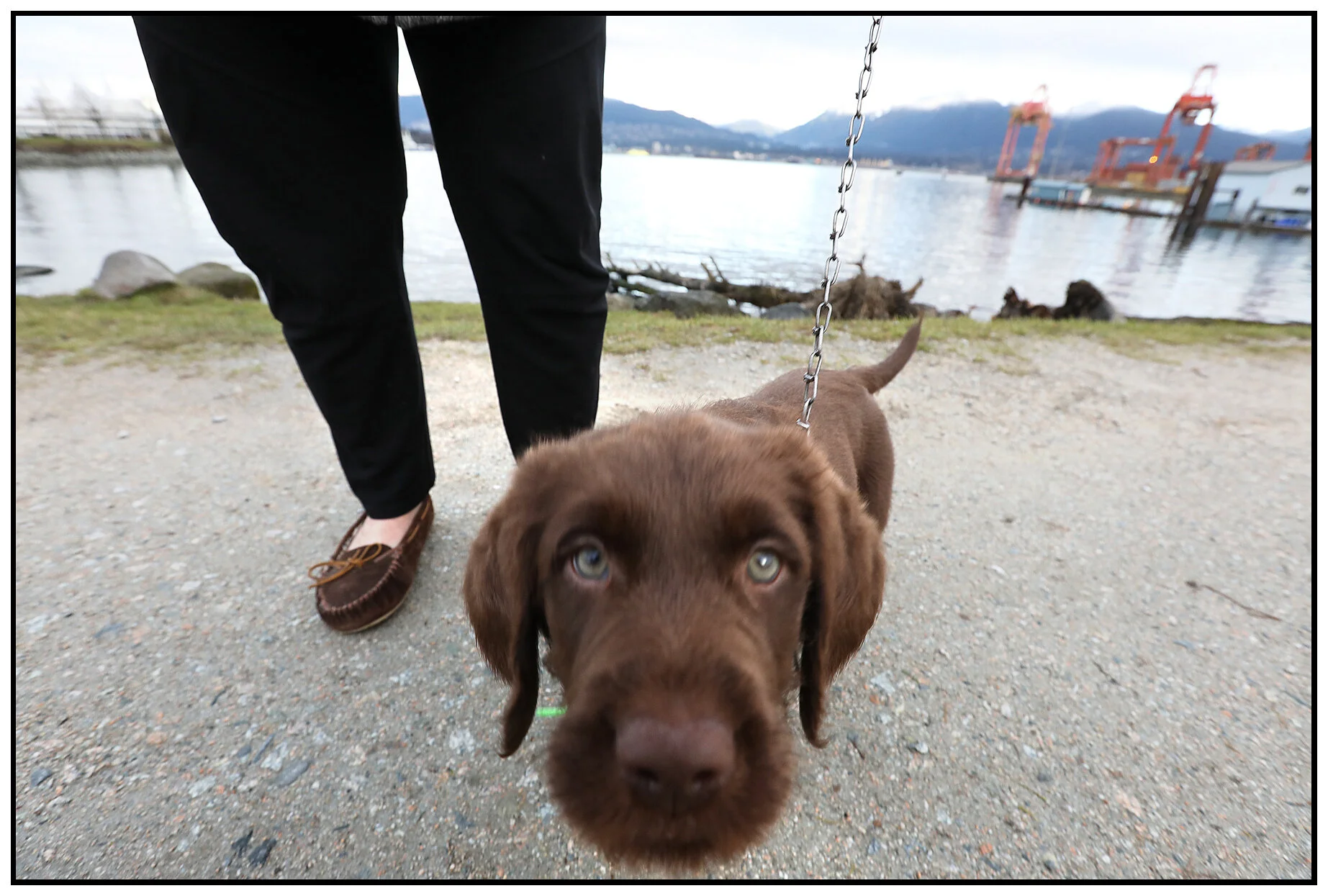 Beau in Crab Pk_Feb 20_2017_A1847_4x6s.jpg