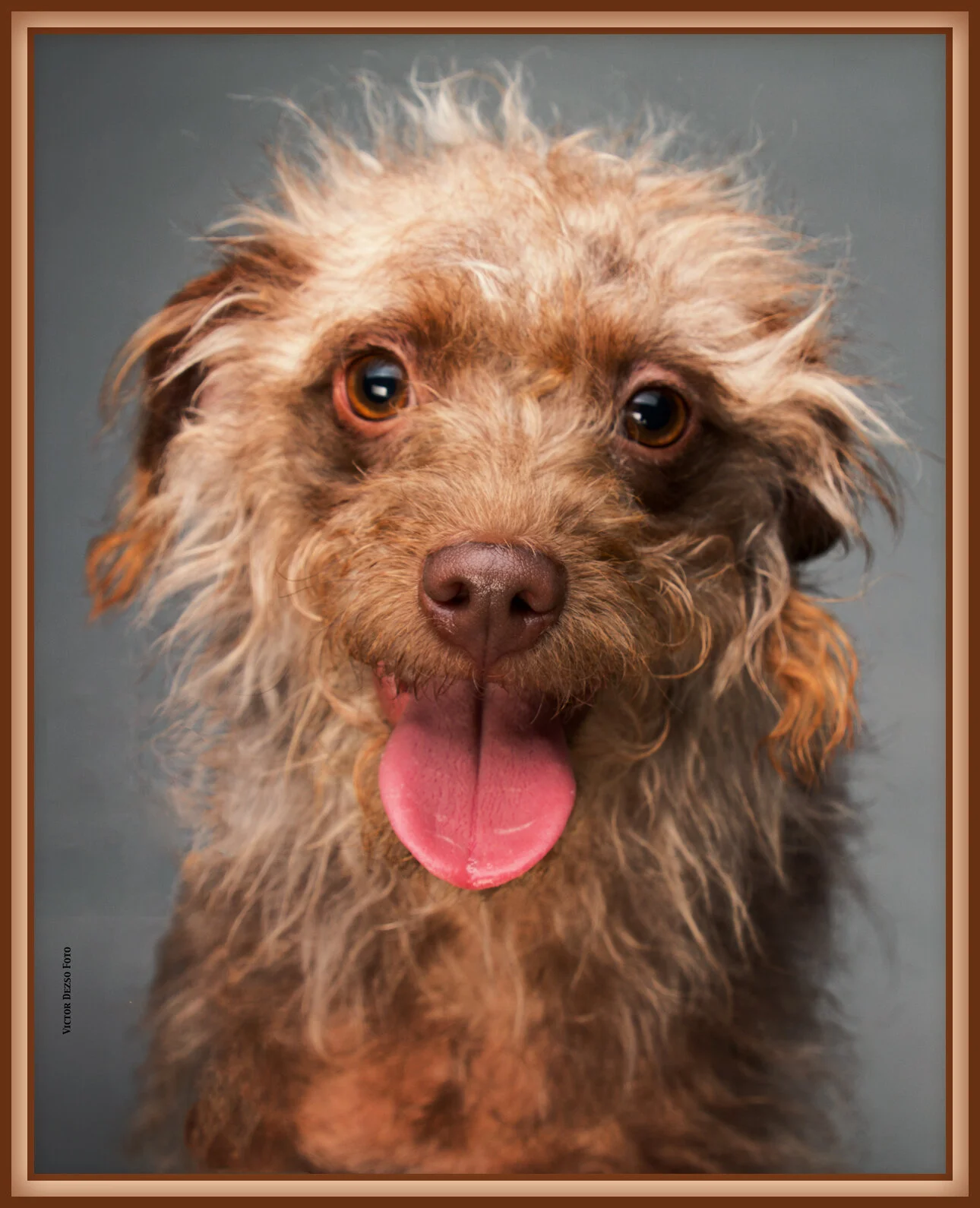 Frances Stewart_Oct 15_2015_H5386_1_peWw&_4x5s.jpg