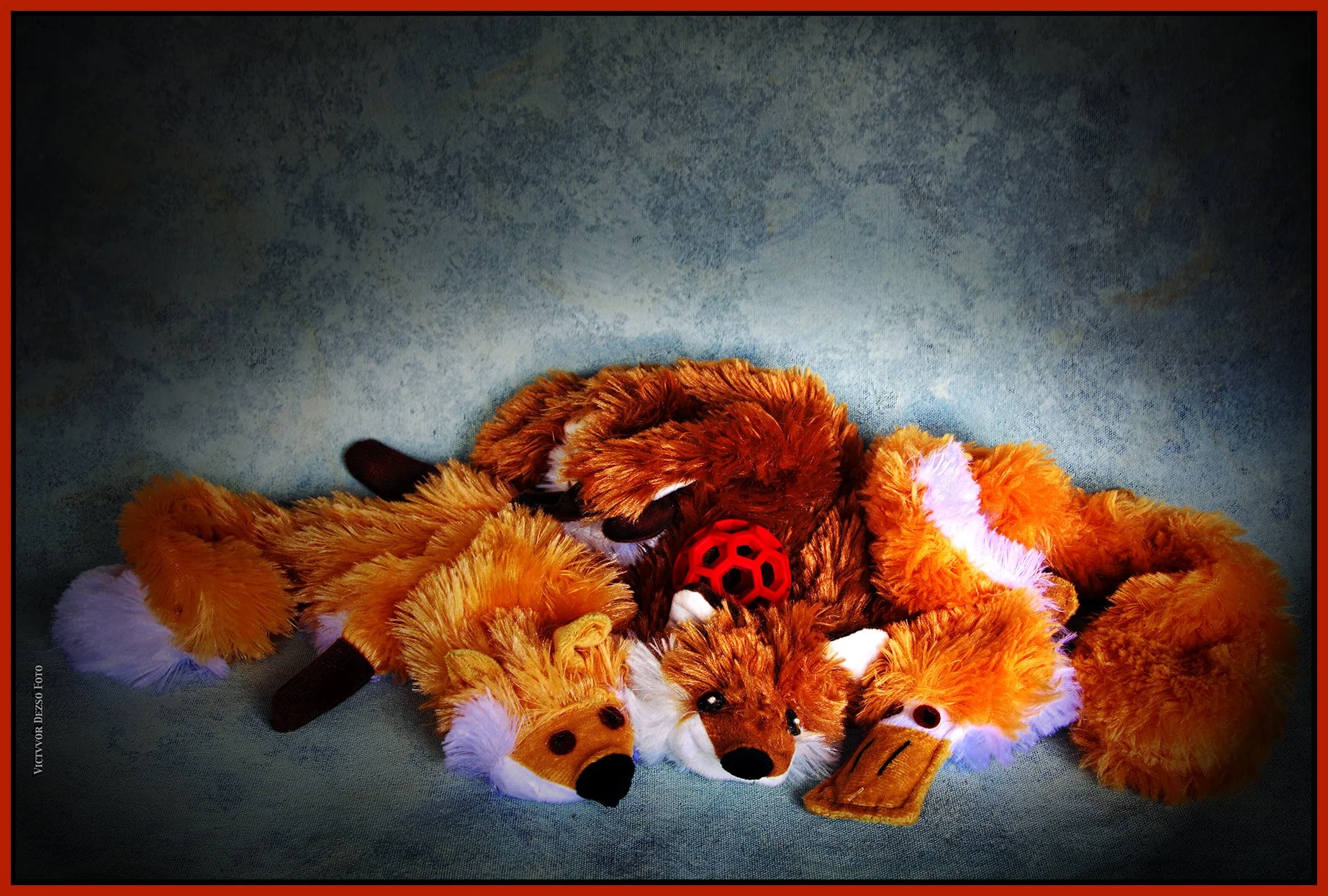 Frances's Toys_Mar 31_2025_HDR_4J5816_pePopDarken_4x6s.jpg