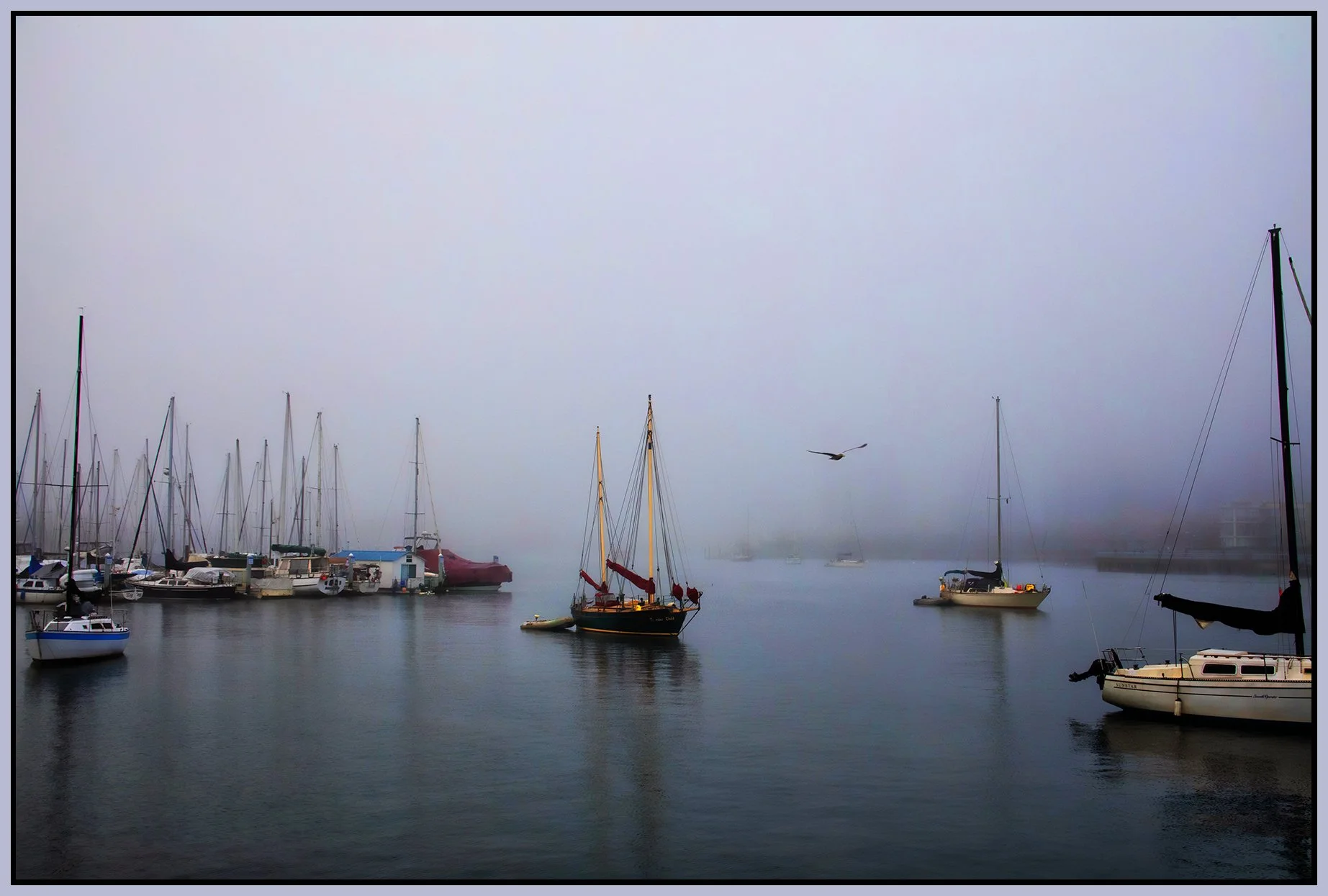 False Creek Fog_Nov 26_2023_CR2_4H9217_peCntrst_ShdngCntrst_4x6s.jpg