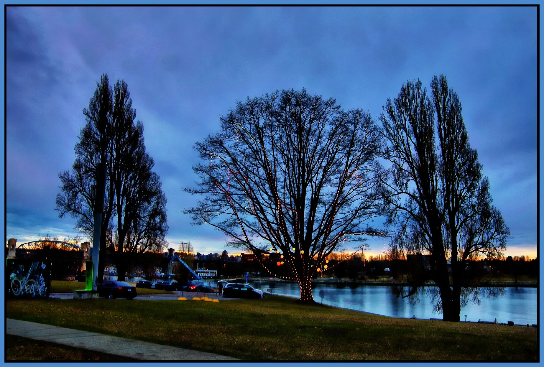 English Bay Tree_Feb 9_2023_HDR_4H5509_peSmartCntrst_ShdngCntrst_Hyprstrip_4x6s.jpg