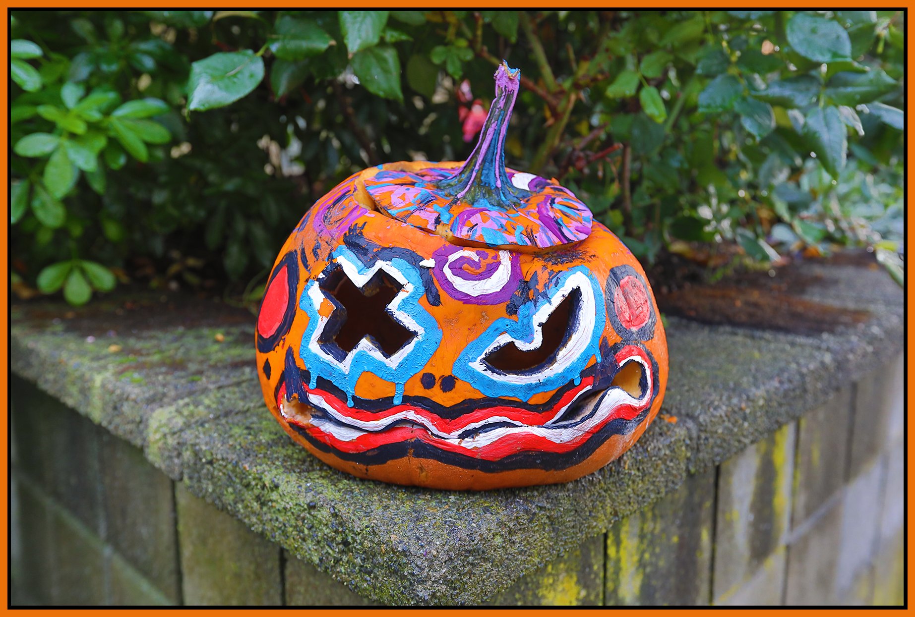 Pumpkin Nov 2_2024_HDR_5E3947_4x6s.jpg