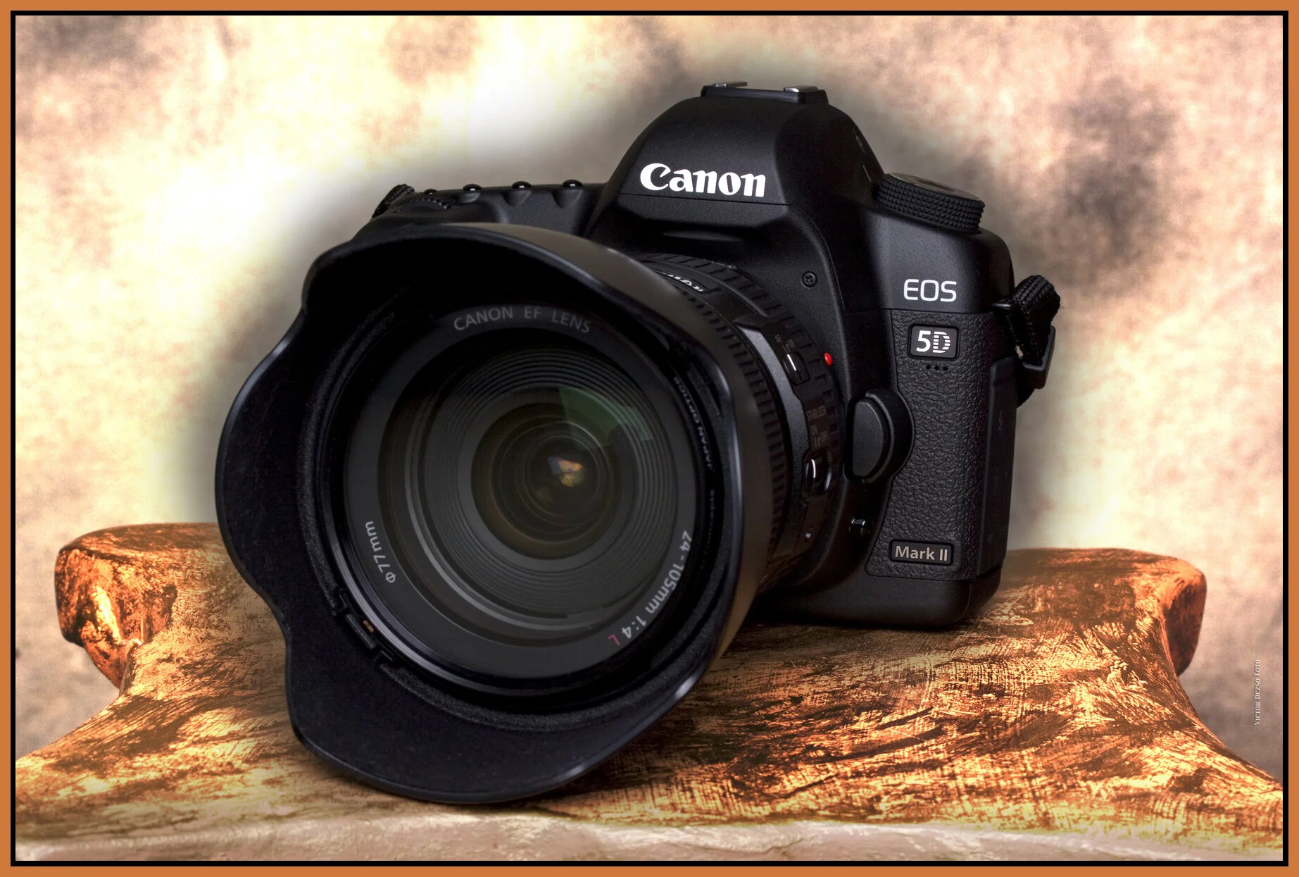 Canon 5D MkII_Mar 17_09_1844_2_4x6s.jpg