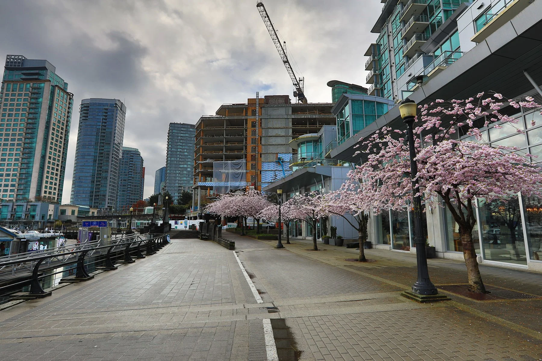 Coal Harbour Const_Mar 26_2024_HDR_4H5584_4x6.jpg