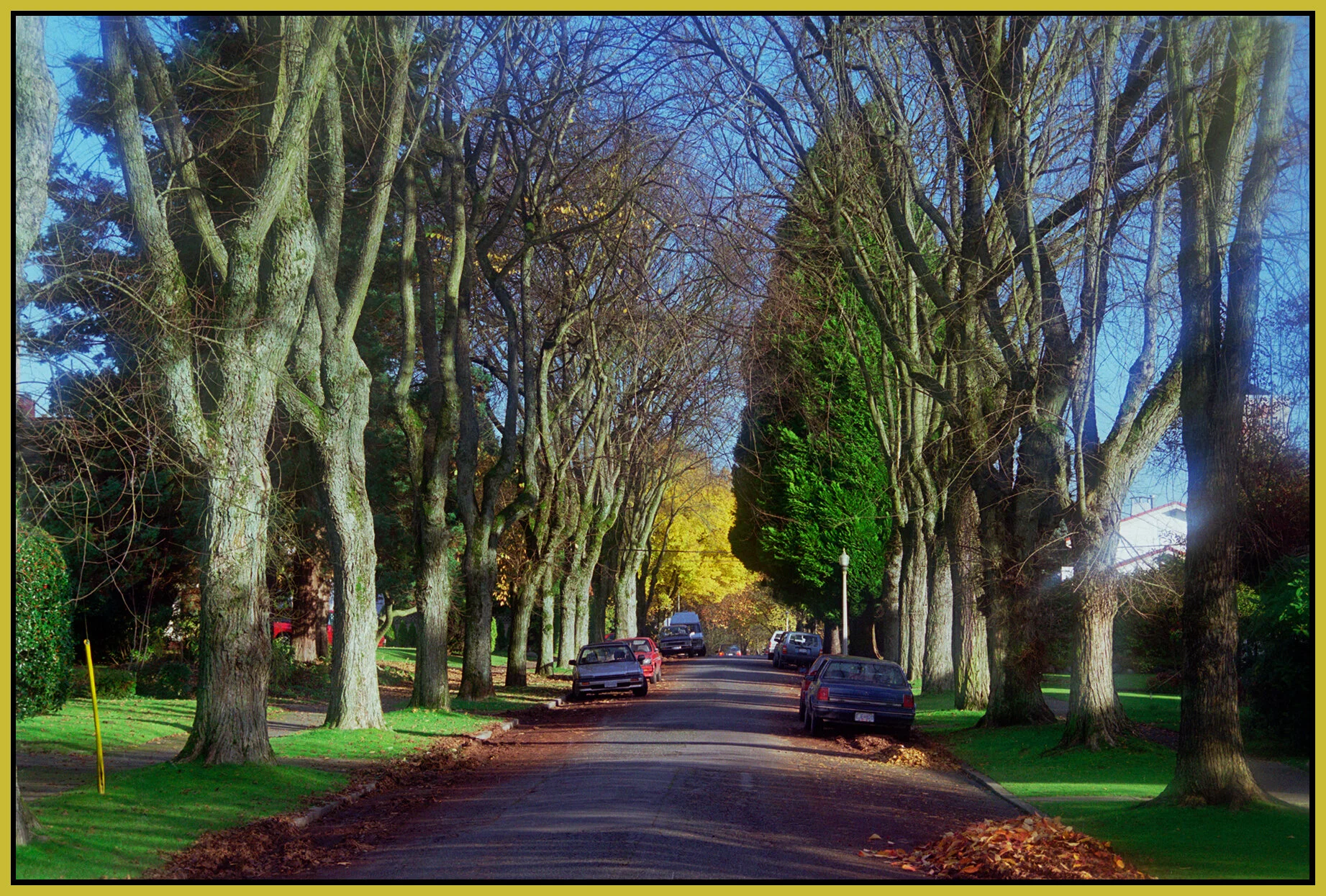 Fall Streets_Nov 8_1997_16_4x6s.jpg