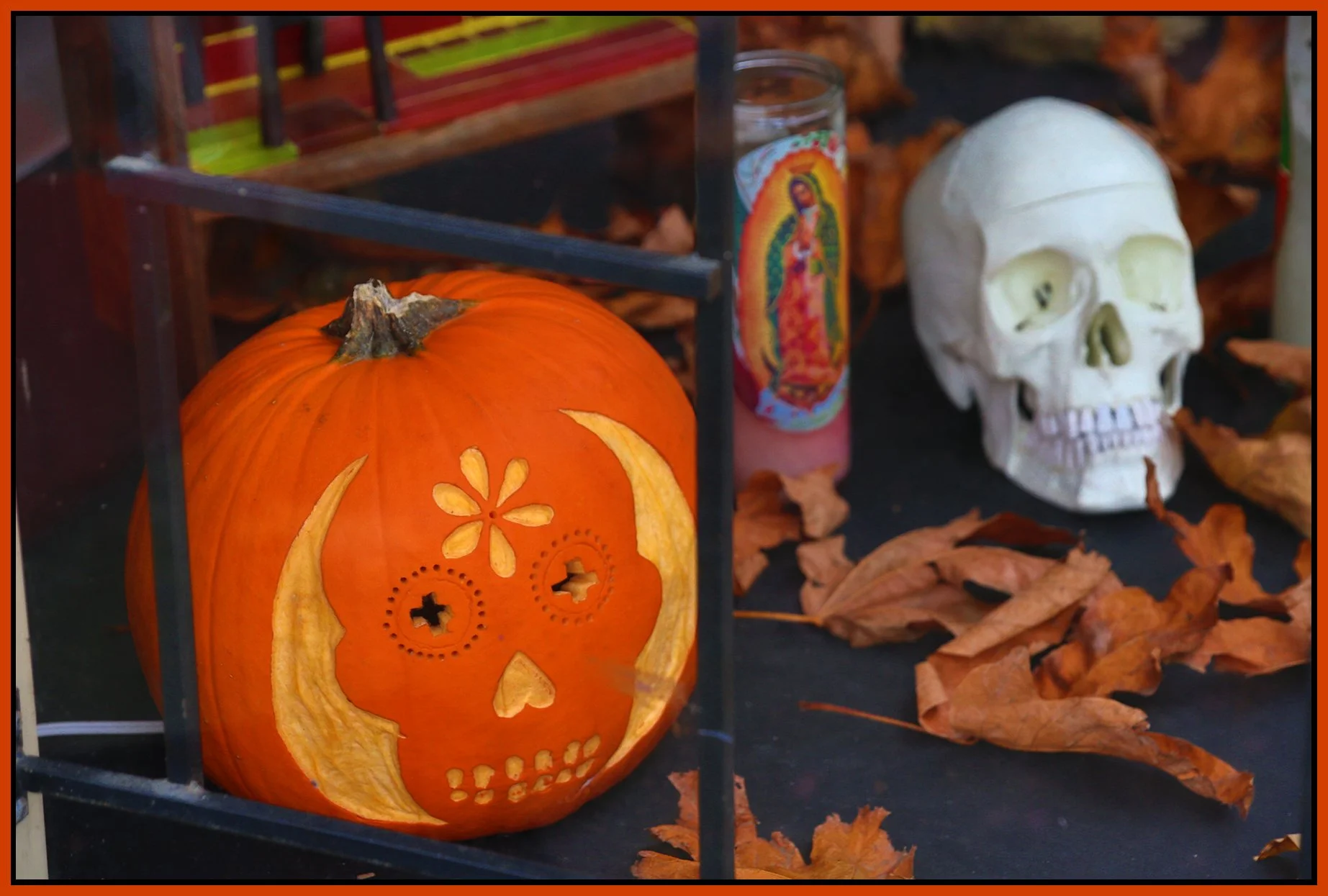 Pumpkin_Nov 2_2015_FH9461_4x6s.jpg