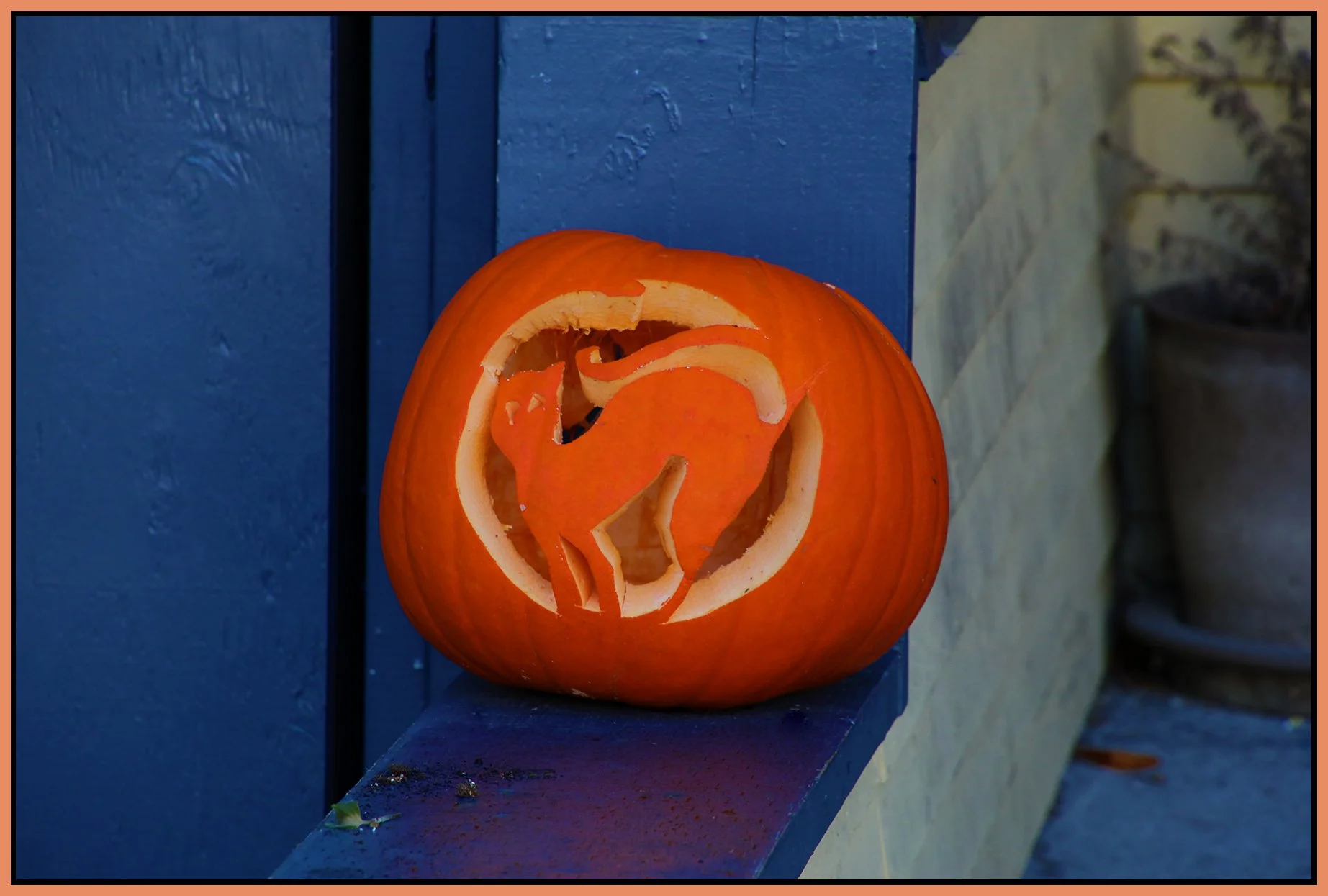 Pumpkin_Oct 31_2021_HDR_4G4562_4x6s.jpg