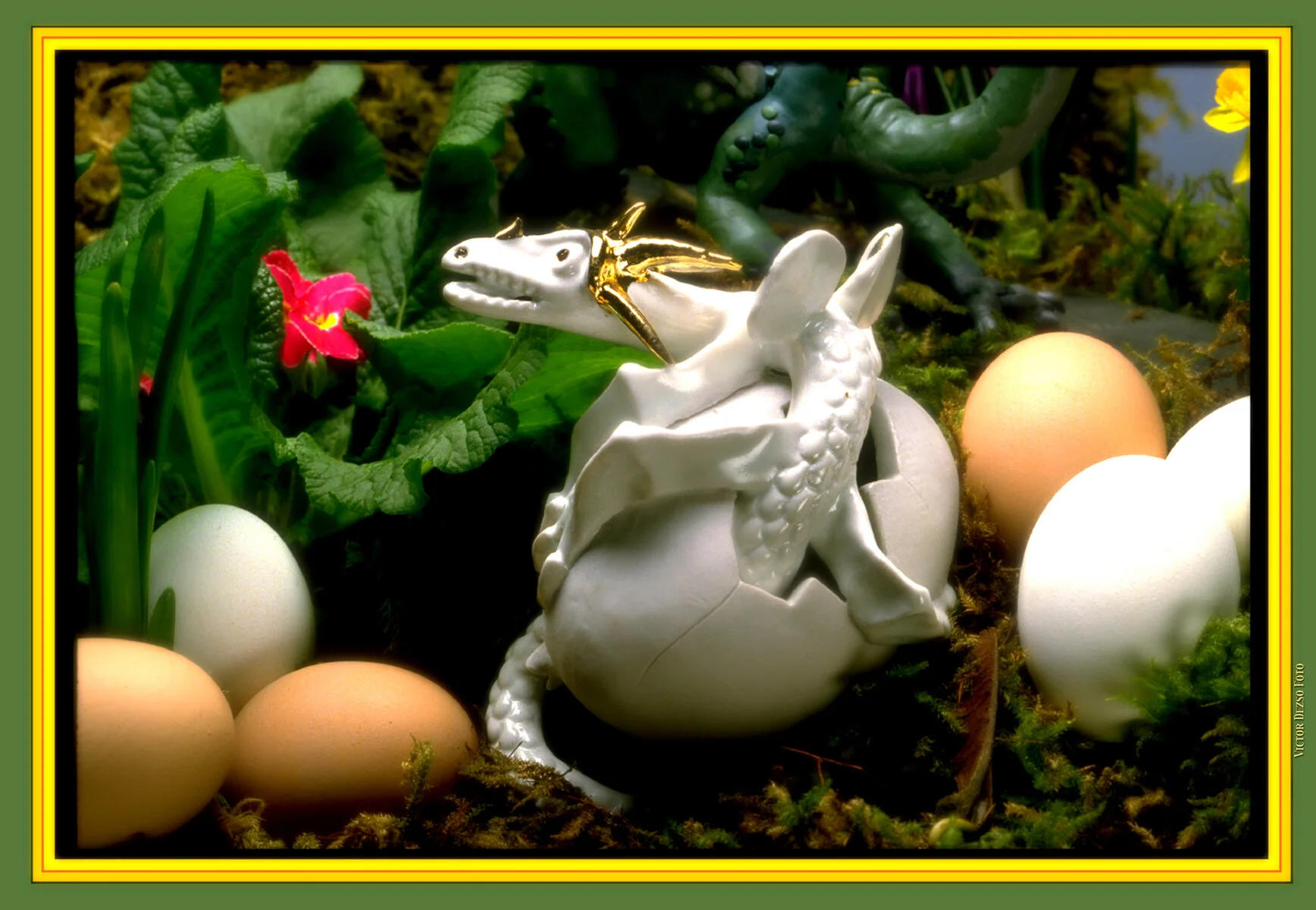 Baby Dragon_1_1_4x6.jpg