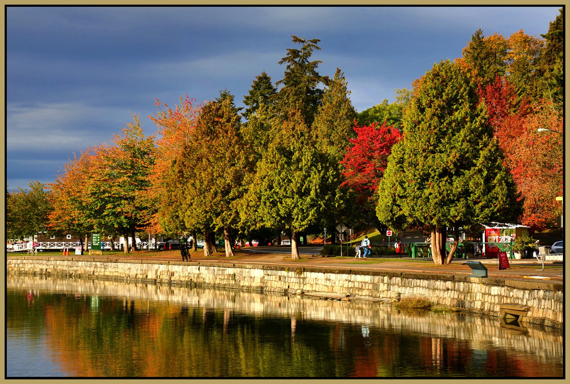 Stanley Pk Trees_Oct 5_2016_HDR_L0840_4x6s.jpg