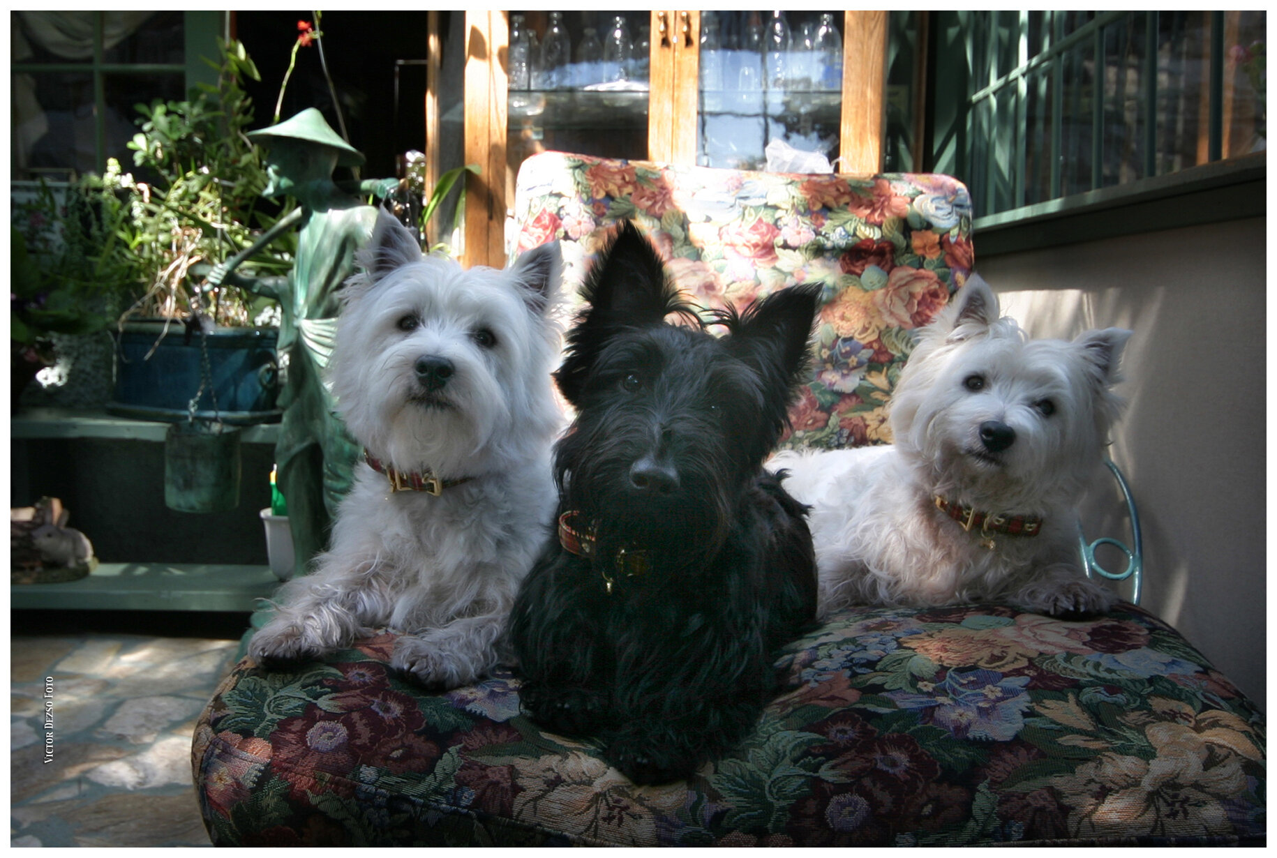 The Trio_4960a_2ab_4x6s.jpg