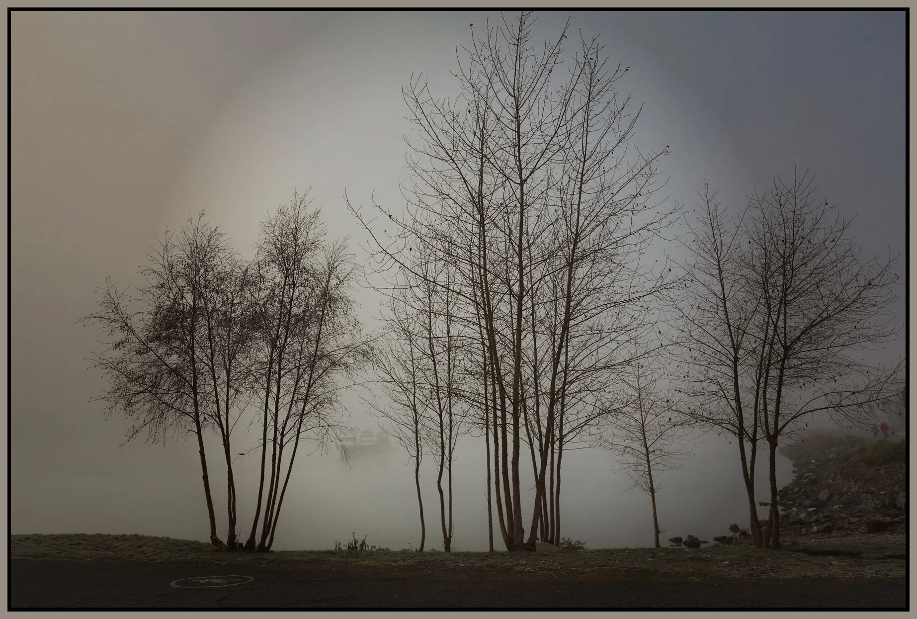 6 View Trees_Jan 1_2016_HDR_K1914_peSepia_4x6s.jpg