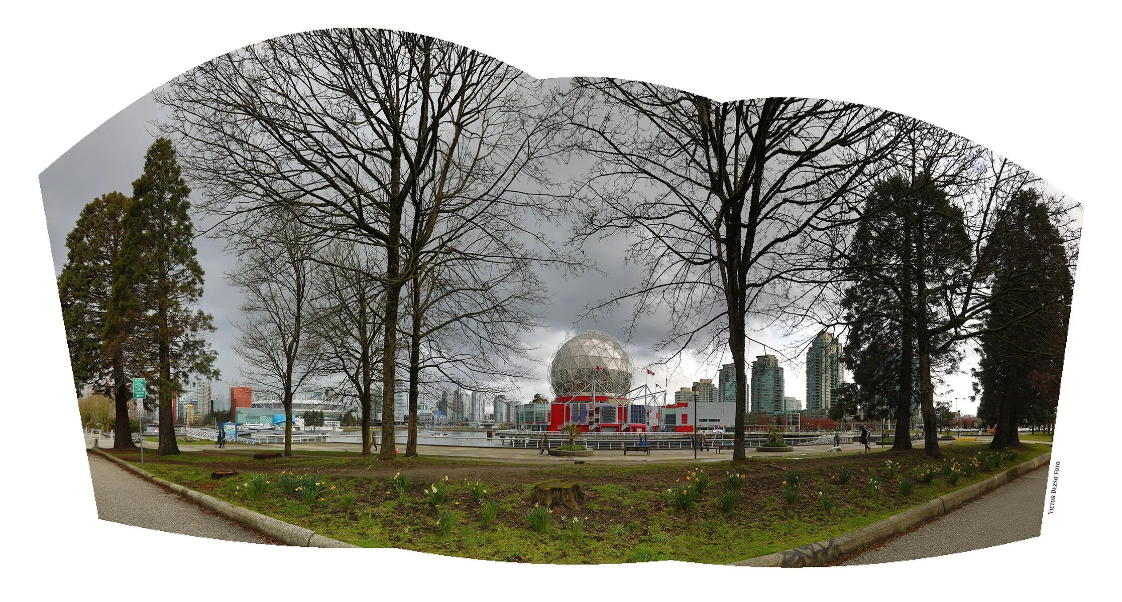 4 View False Ck Trees_Apr 2_2023_HDR_Pan_5D6278_4x7.jpg