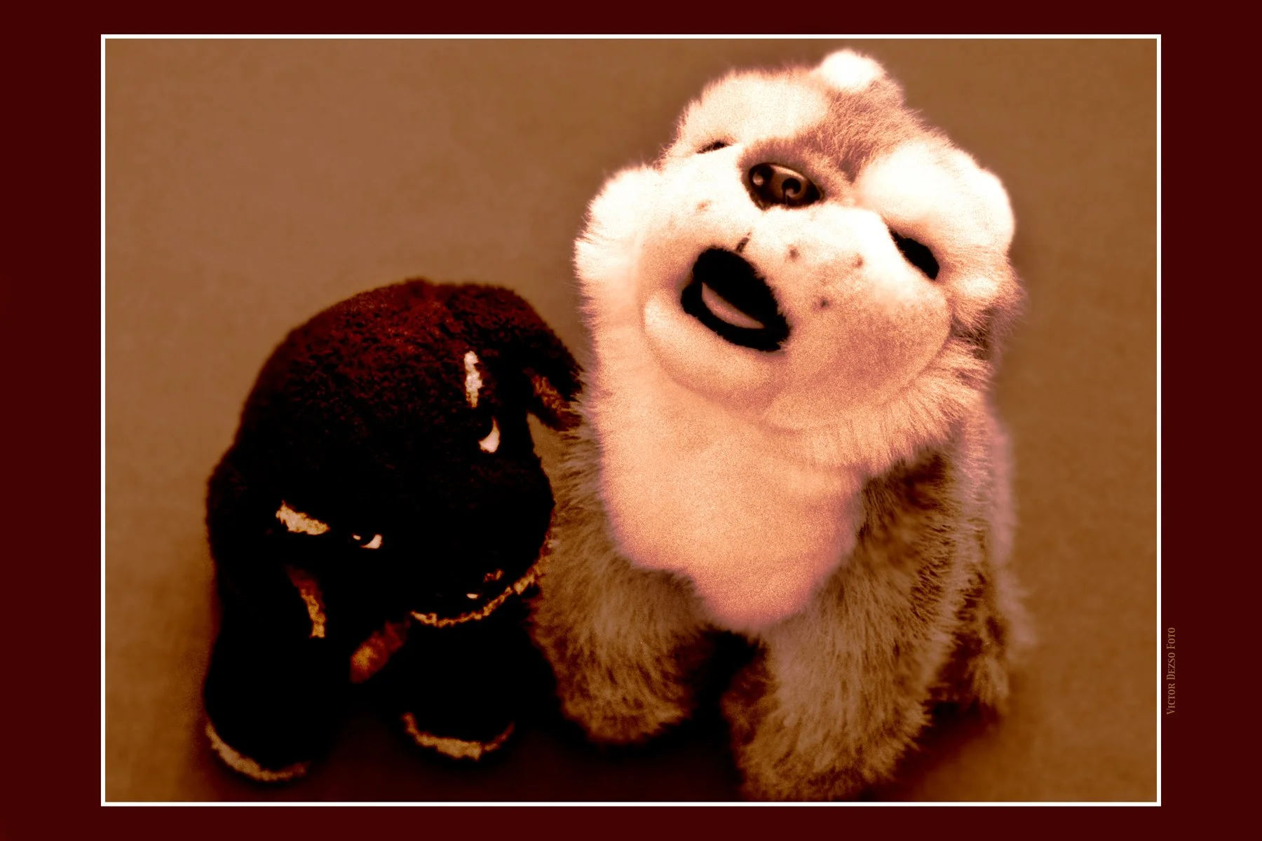 Wimpy & Wooly_2_4x6s.jpg